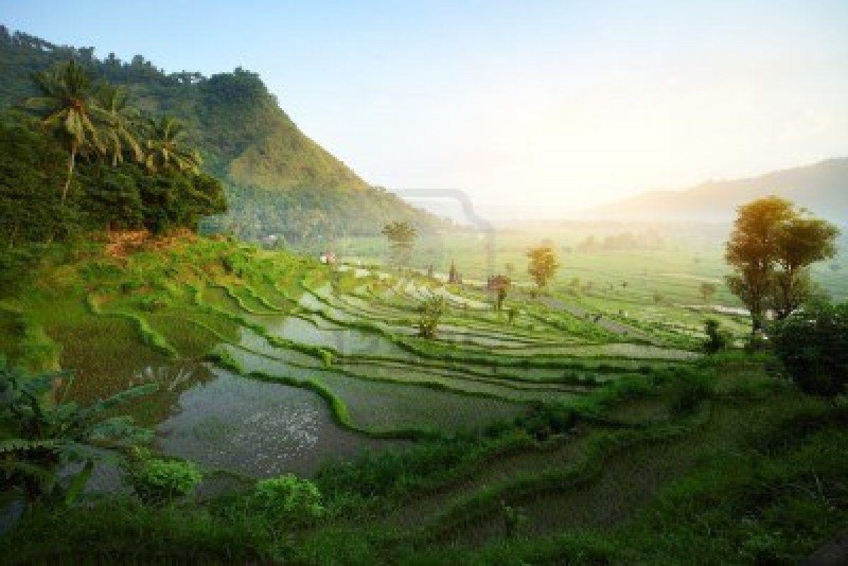 Bali, Natur, Landschaft, HD, Indonesien, 1200x810 HD Desktop