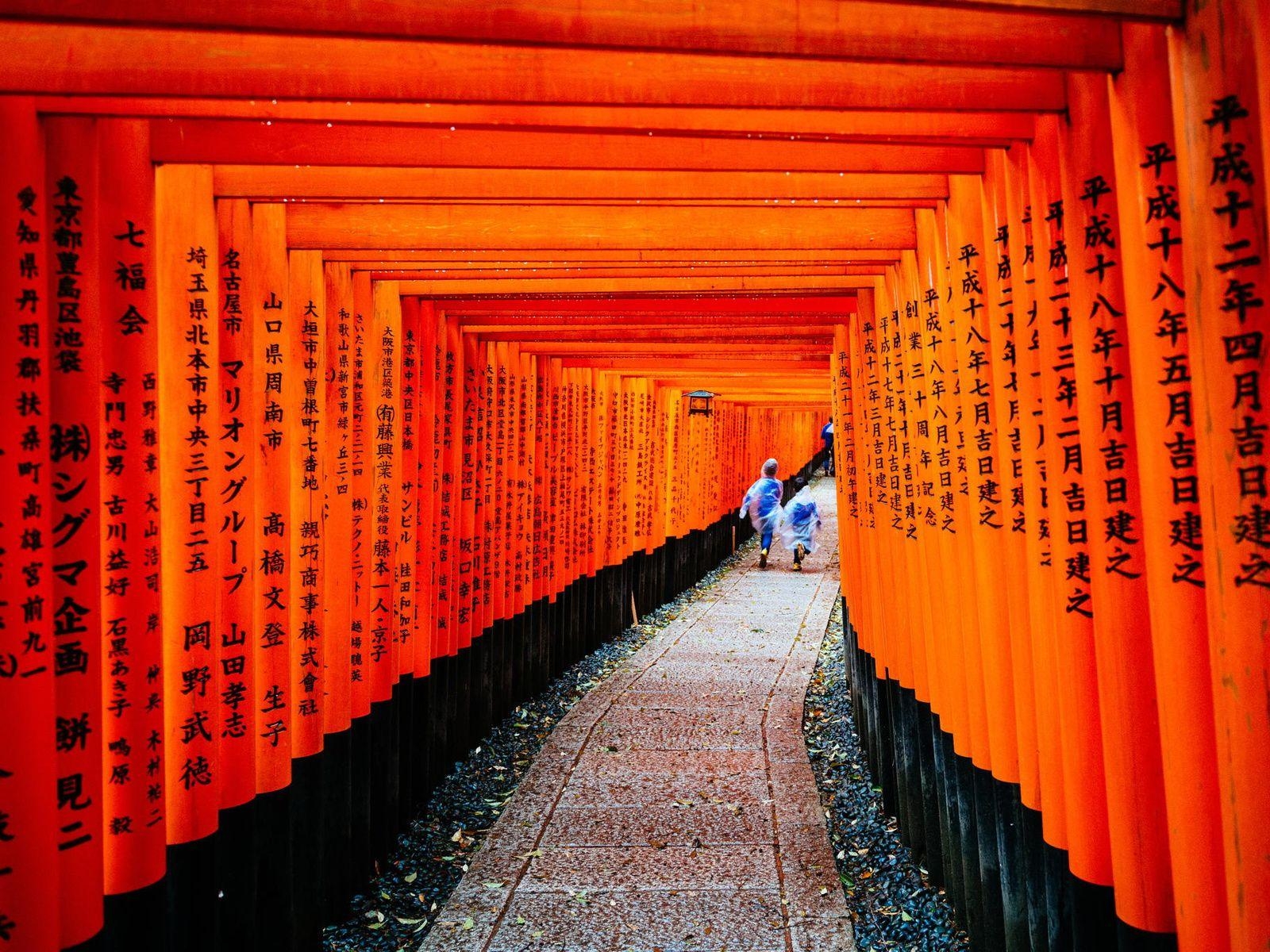 Memoirs of a Geisha, Japan, Kyoto, Fushimi Inari, Geisha, 1600x1200 HD Desktop