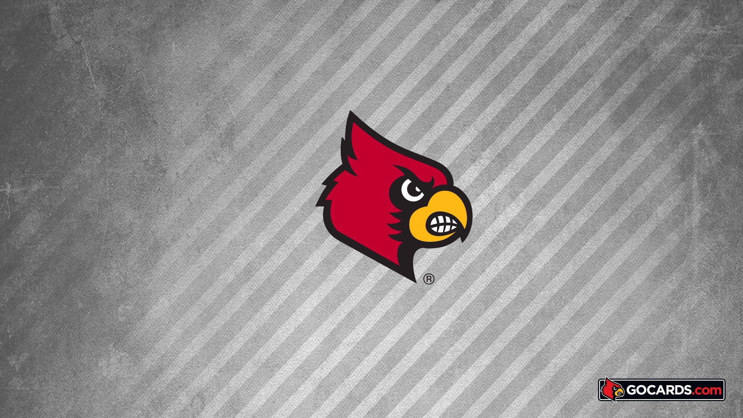 Louisville Athletics, Sport, Universität, Hintergrund, Rot, 2560x1440 HD Desktop