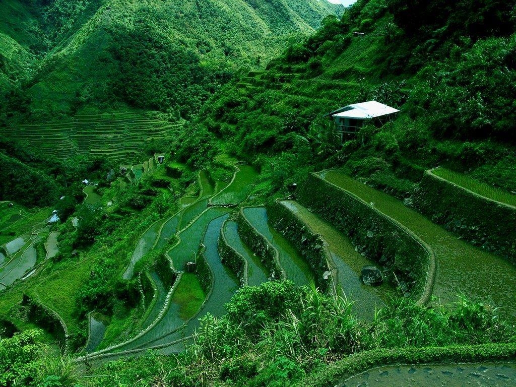 Banaue, Philippinen, Kordilleren, Reistradition, Tourismus, 1030x770 HD Desktop