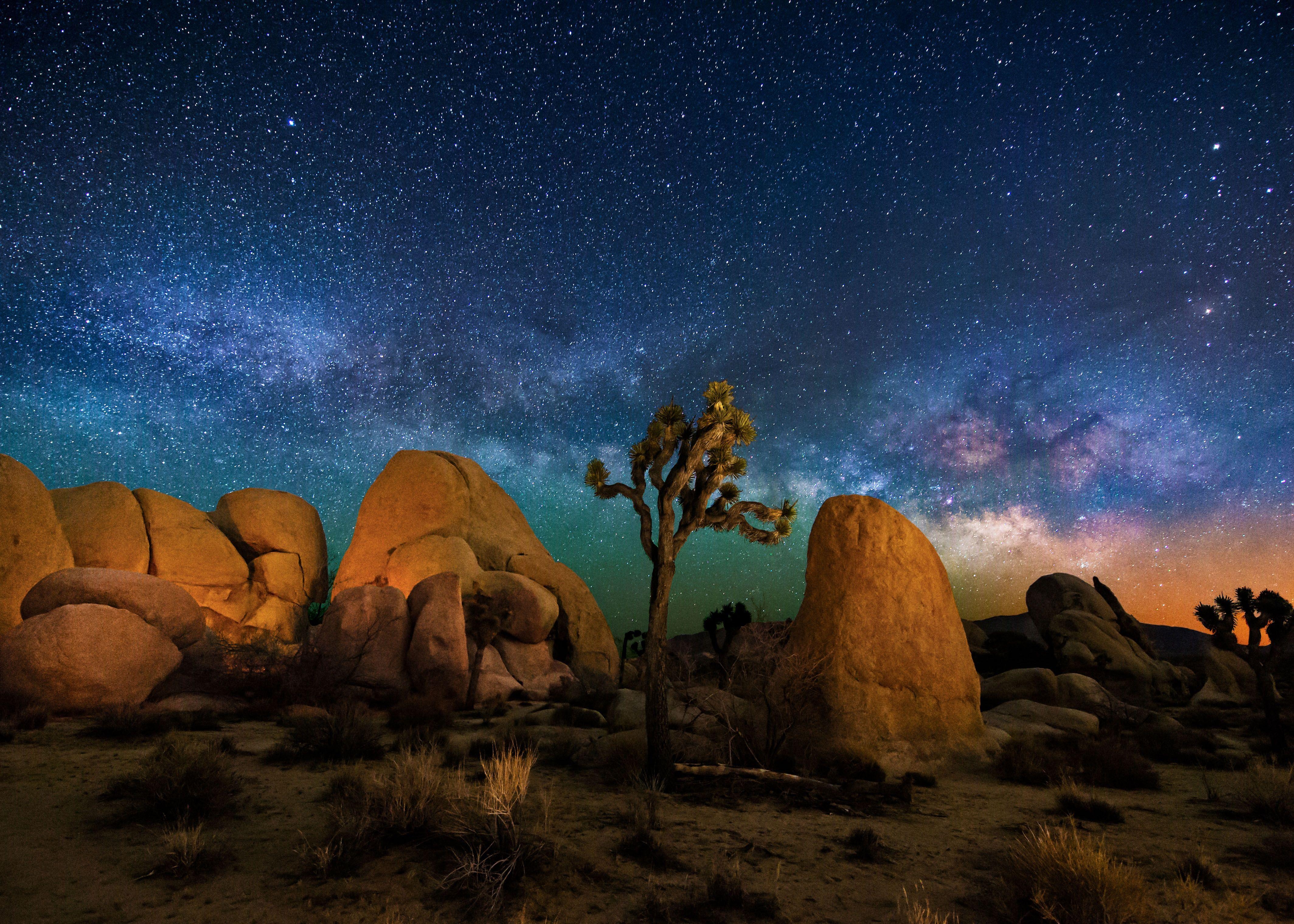 Joshua Tree, Nationalpark, Landschaft, Natur, Kalifornien, 4260x3040 4K Desktop