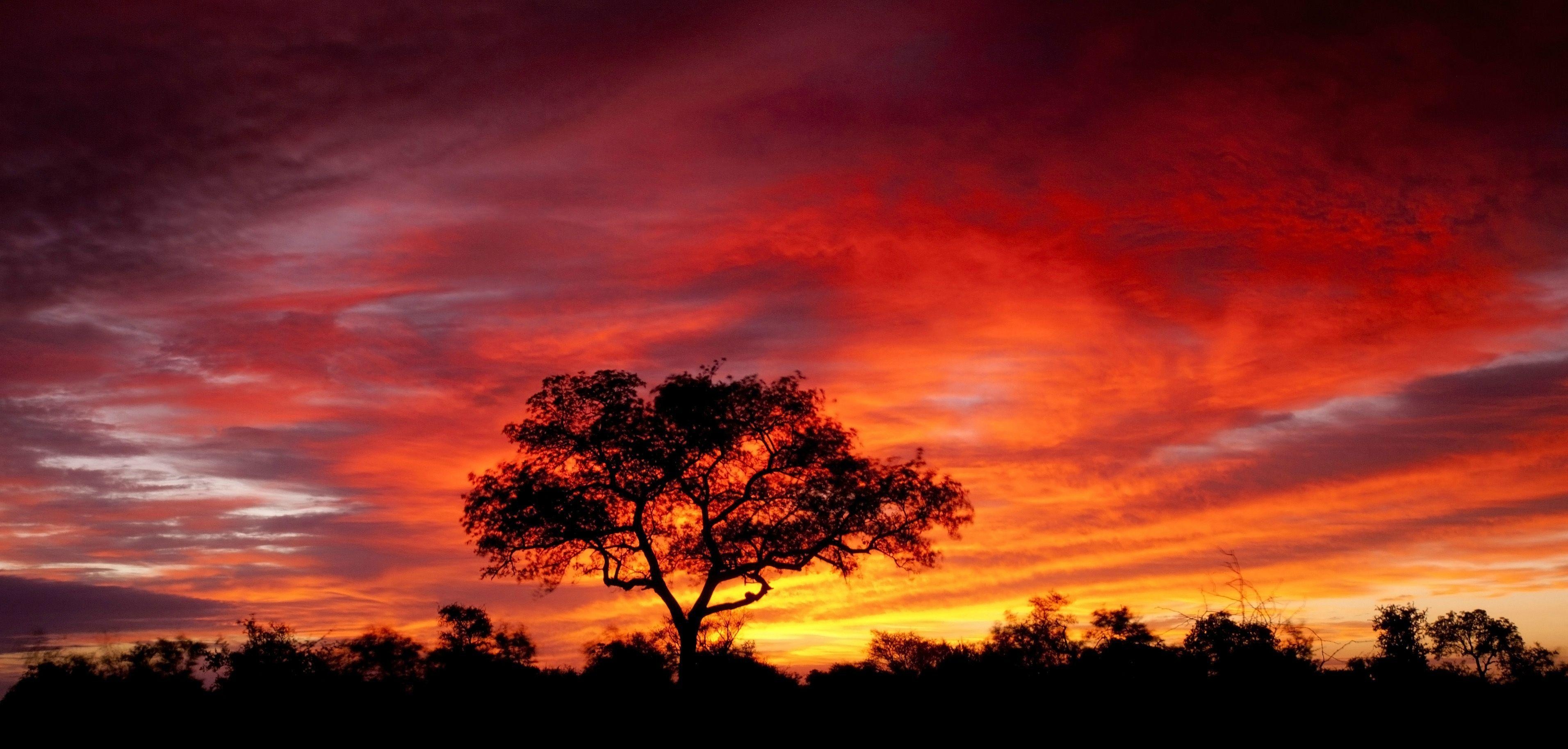 Südafrika Reisen, Sonnenuntergang, HD, Afrika, 3830x1830 Dual Screen Desktop