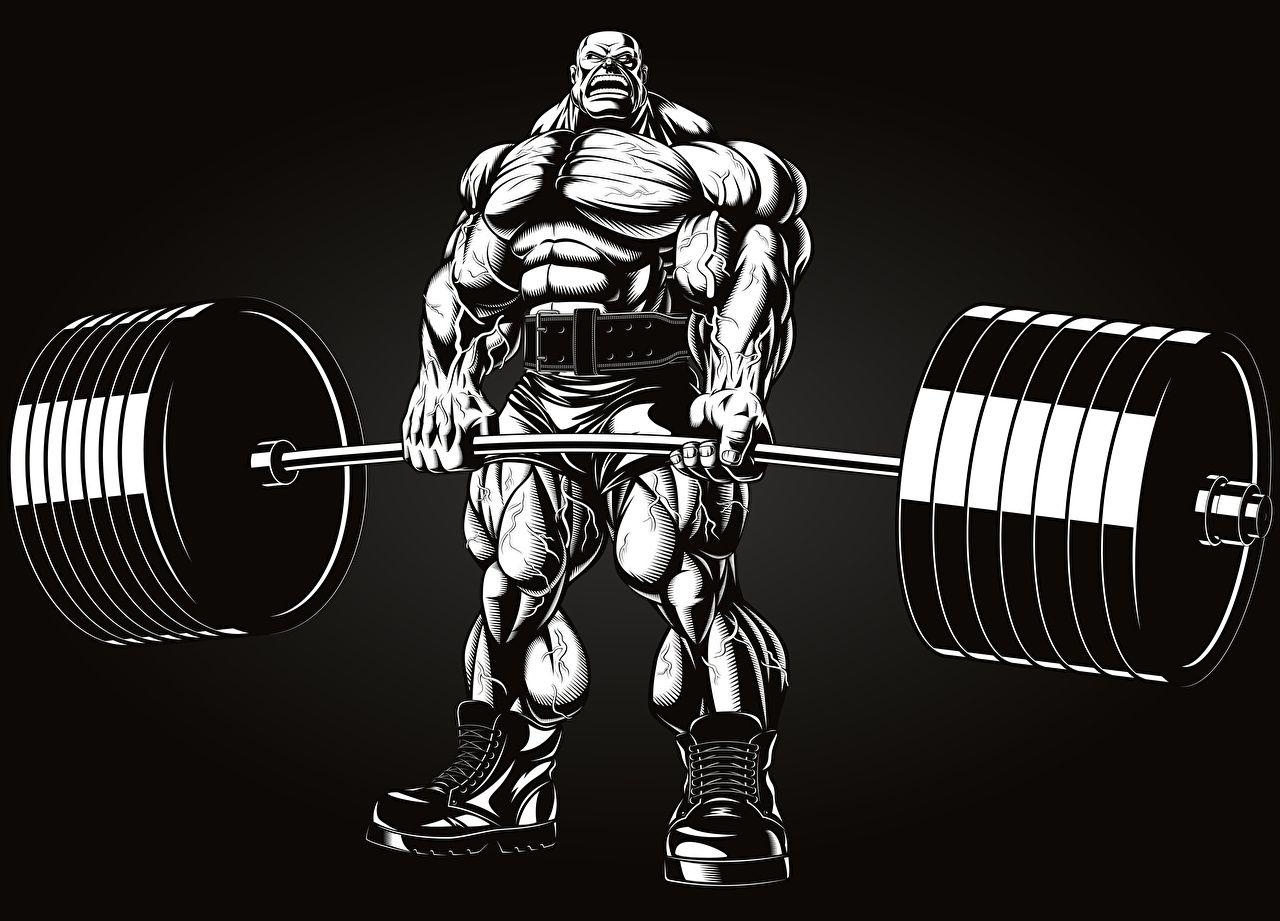 Bodybuilding, Download, Fitness, HD Bild, Sport, 1280x930 HD Desktop