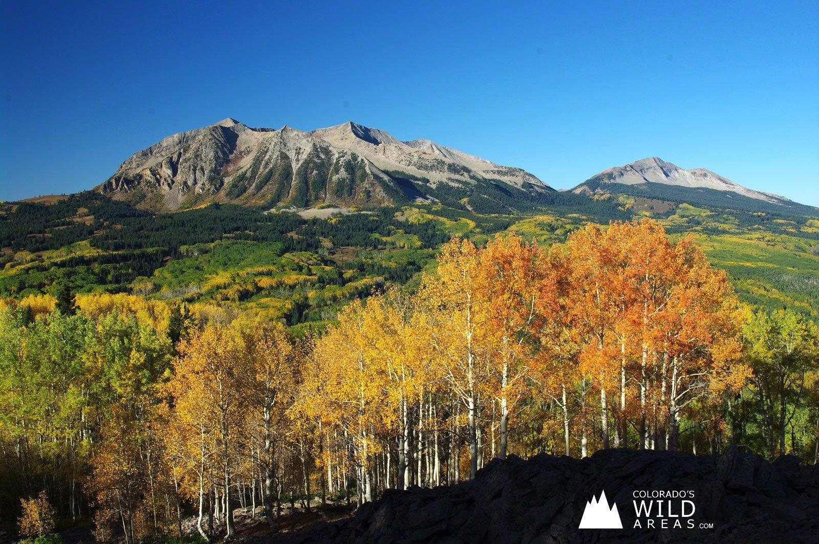 Colorado, Herbstfarben, Natur, Wildgebiete, kostenlos, 1600x1070 HD Desktop