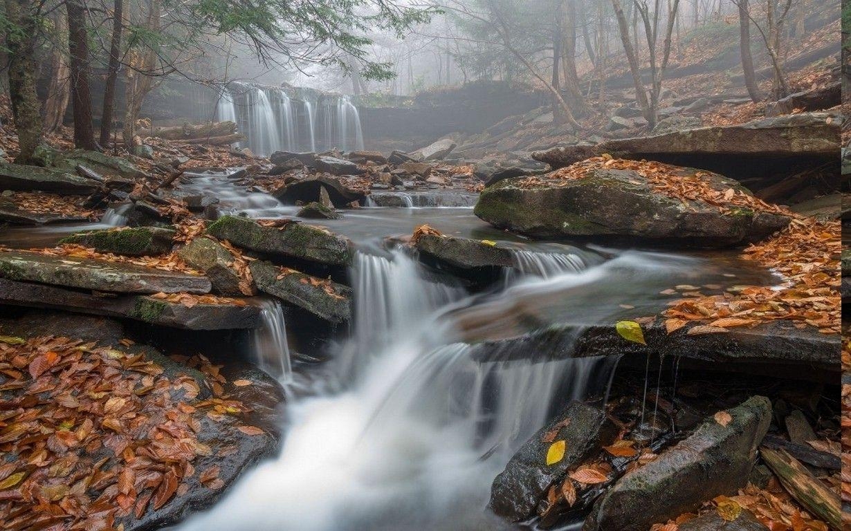 Pennsylvania, Wasserfall, Morgennebel, Blätter, Wald, 1230x770 HD Desktop