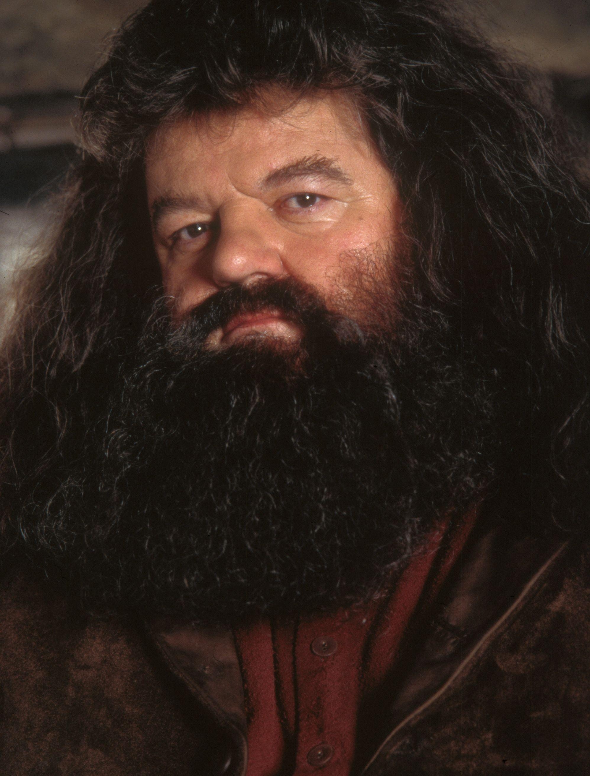 Rubeus Hagrid, Film, Hintergrund, Harry, Charakter, 2000x2630 HD Handy