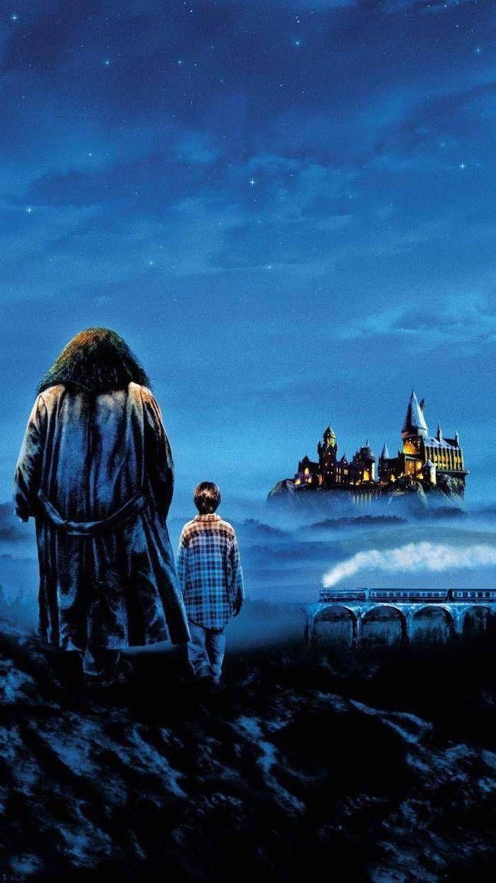 Hagrid, Harry Potter, Gemälde, Hogwarts, Handy, 700x1250 HD Handy