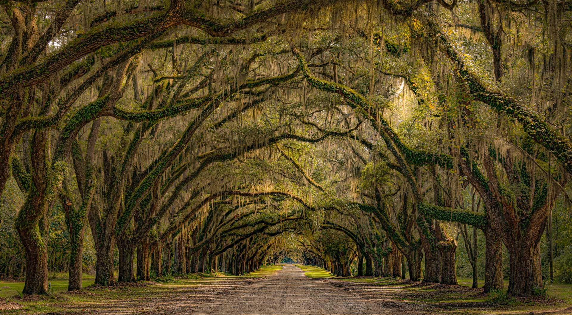 Savannah Georgia, Fotografie, Tour, Workshop, Lernen, 1920x1060 HD Desktop