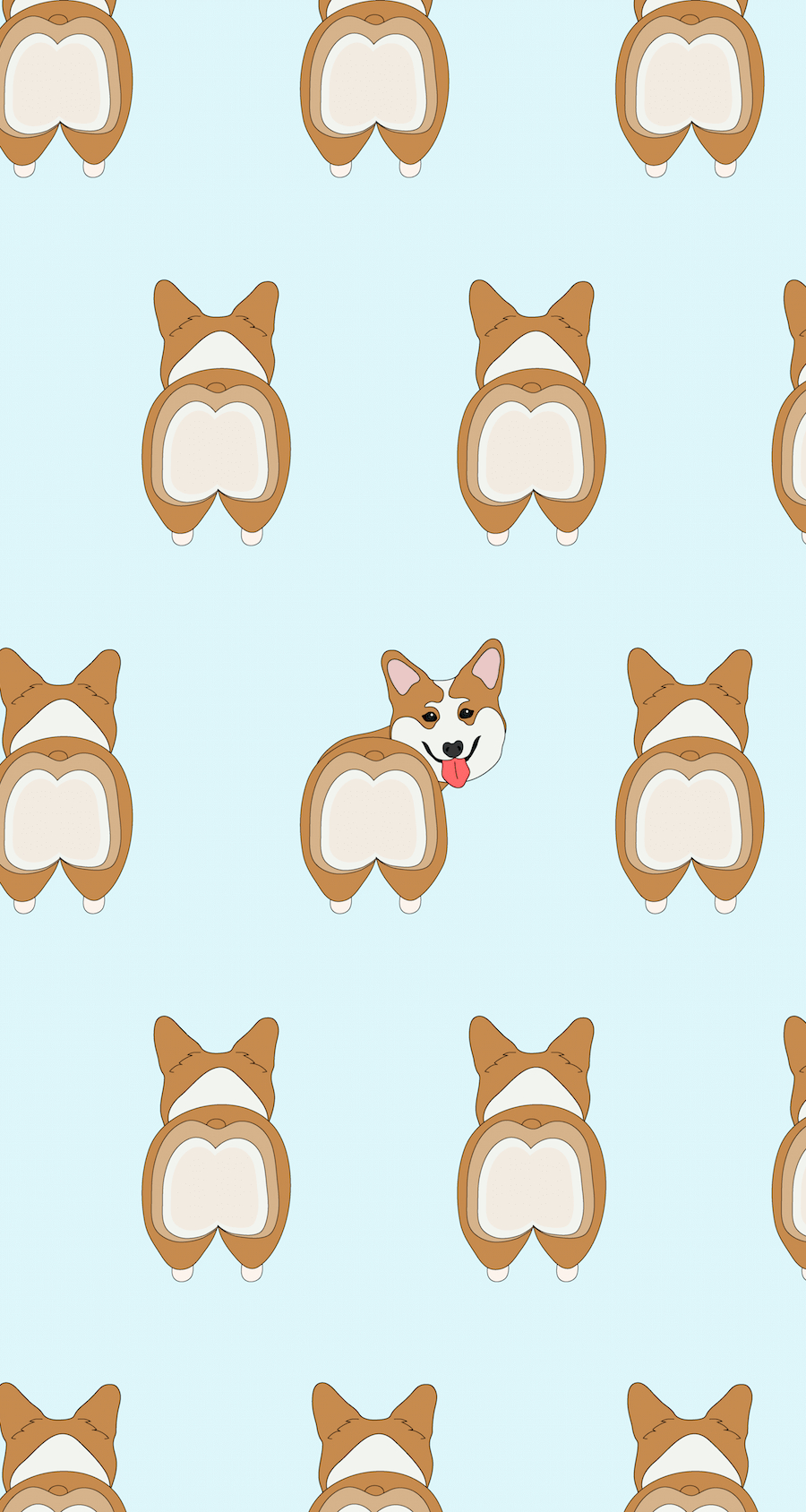 Corgi, Hintergrund, Bild, Niedlich, Haustier, 900x1690 HD Handy