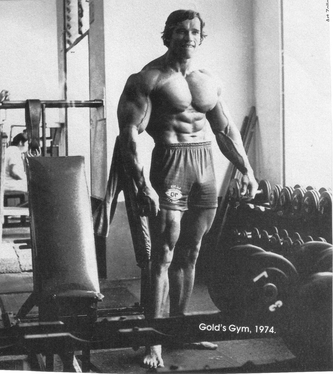 Arnold Schwarzenegger, Bodybuilding, HD, Kraft, Sport, 1410x1580 HD Handy