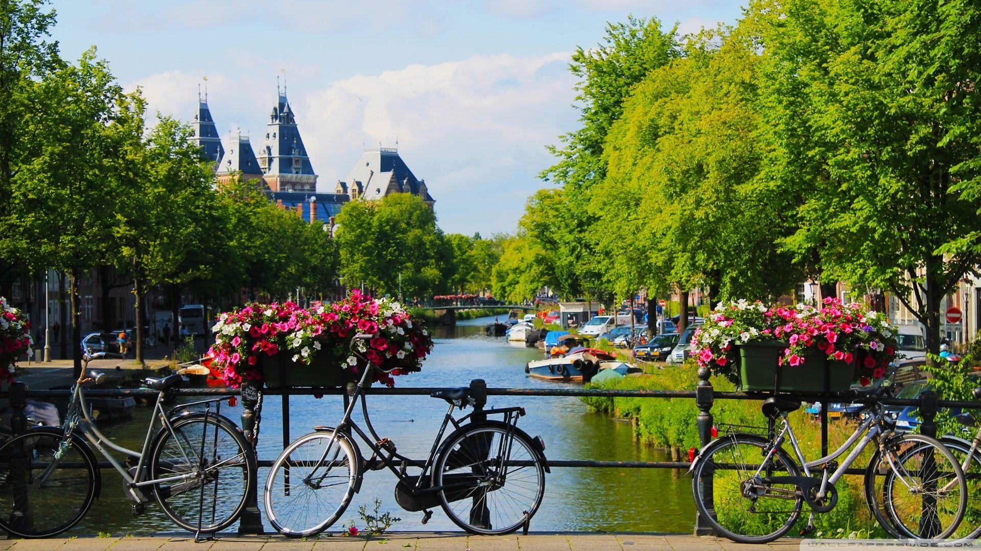 Amsterdam, 4K, HD, Ultra-HD, Fernseher, 1920x1080 Full HD Desktop