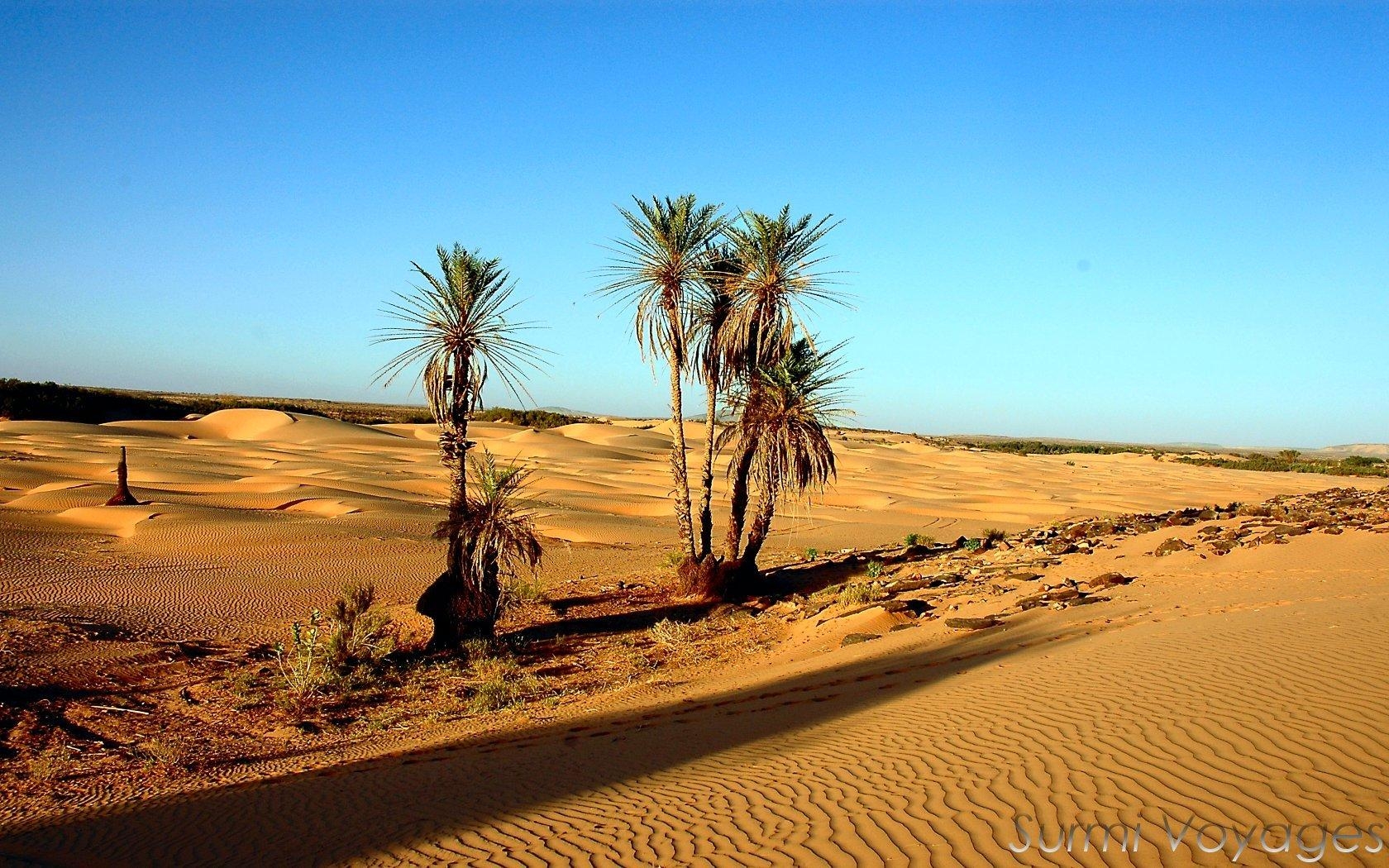 Mauretanien, Sahara, Reise, Wüste, Natur, 1680x1050 HD Desktop