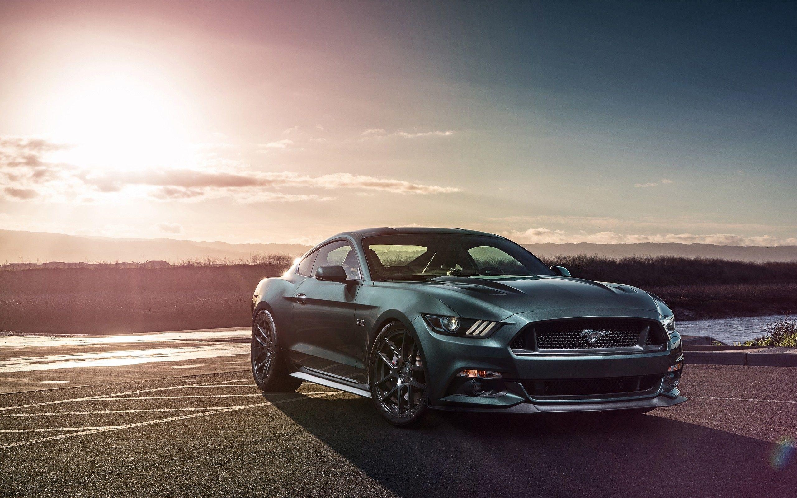 Mustang, Performance, Auto, Bild, Fahrzeug, 2560x1600 HD Desktop