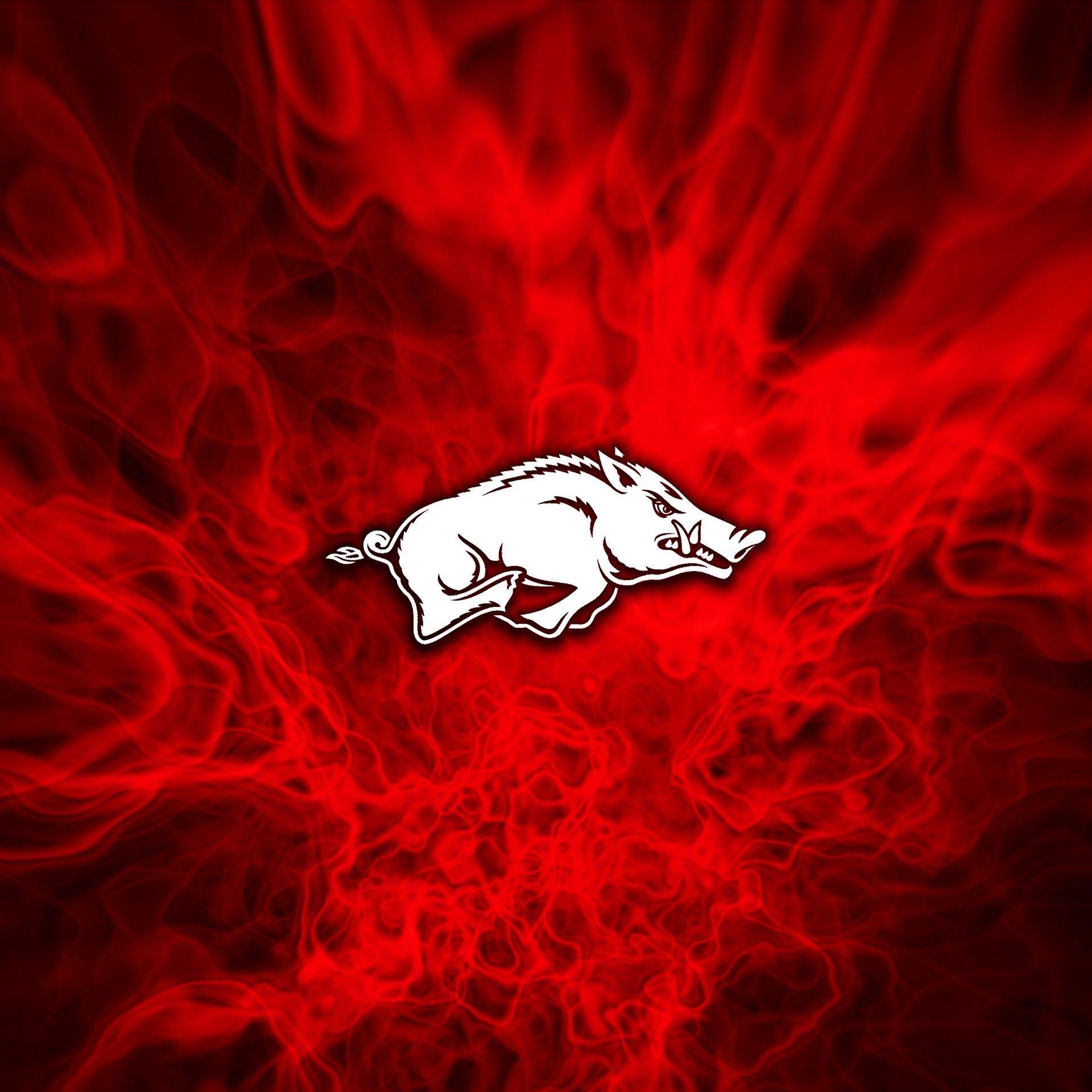 Razorback, Arkansas, Sport, Team, Symbol, 1920x1920 HD Handy