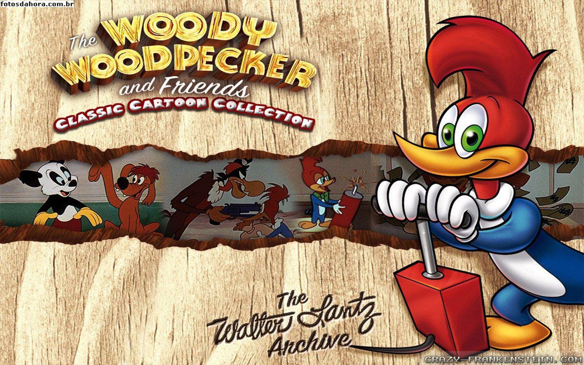 Woody Woodpecker, Cartoons, HD, kostenloser Download, Animation, 1920x1200 HD Desktop