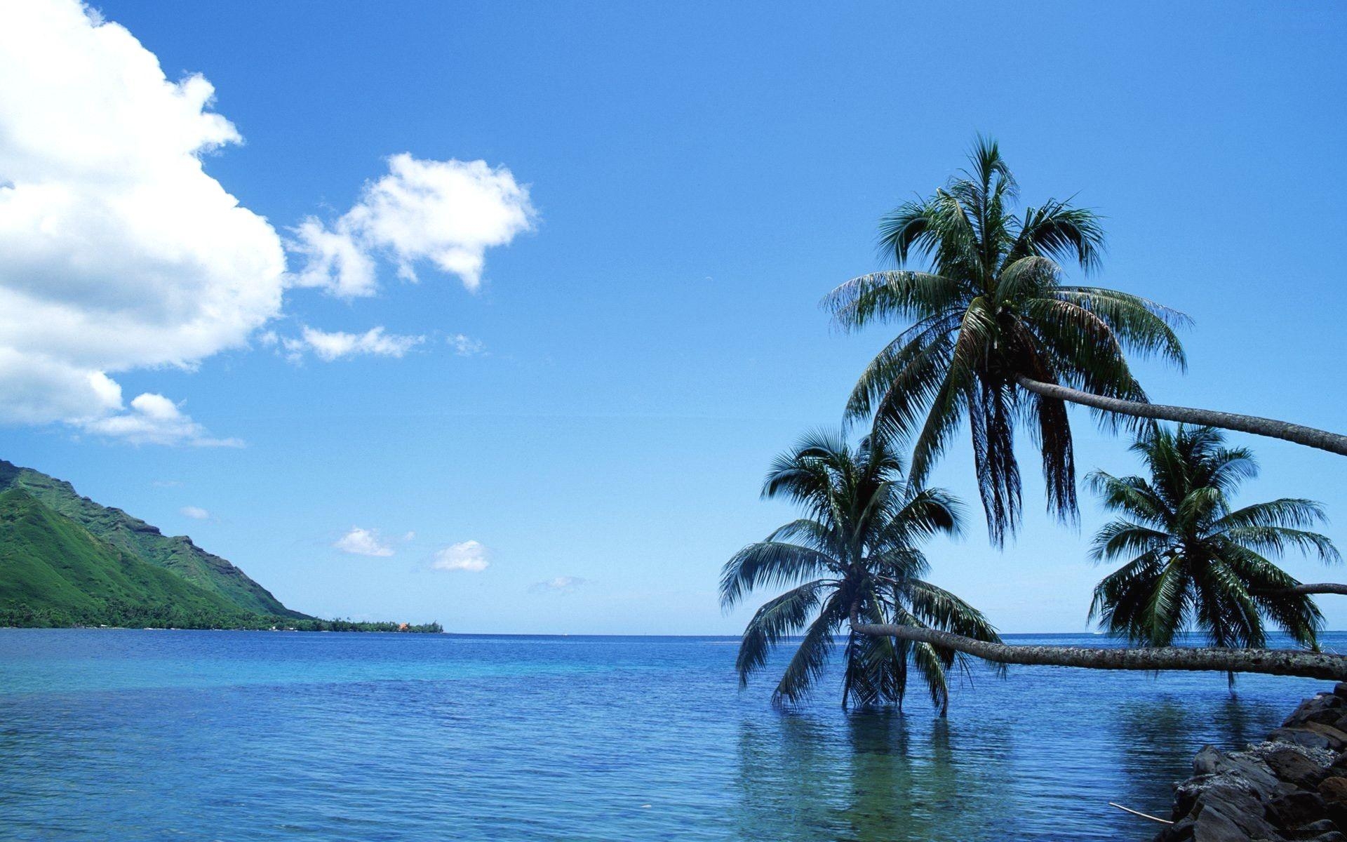 Tahiti, Reisen, Meer, HD, Widescreen, 1920x1200 HD Desktop