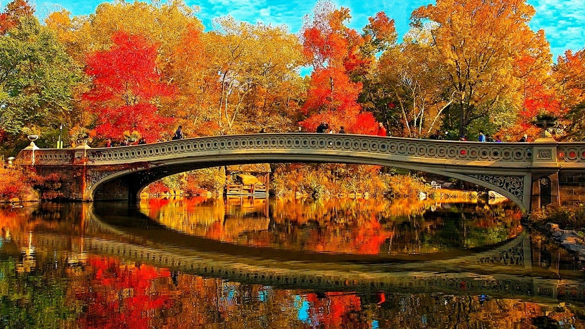 Bogenbrücke, Central Park, Studio, Natur, Reisen, 1920x1080 Full HD Desktop