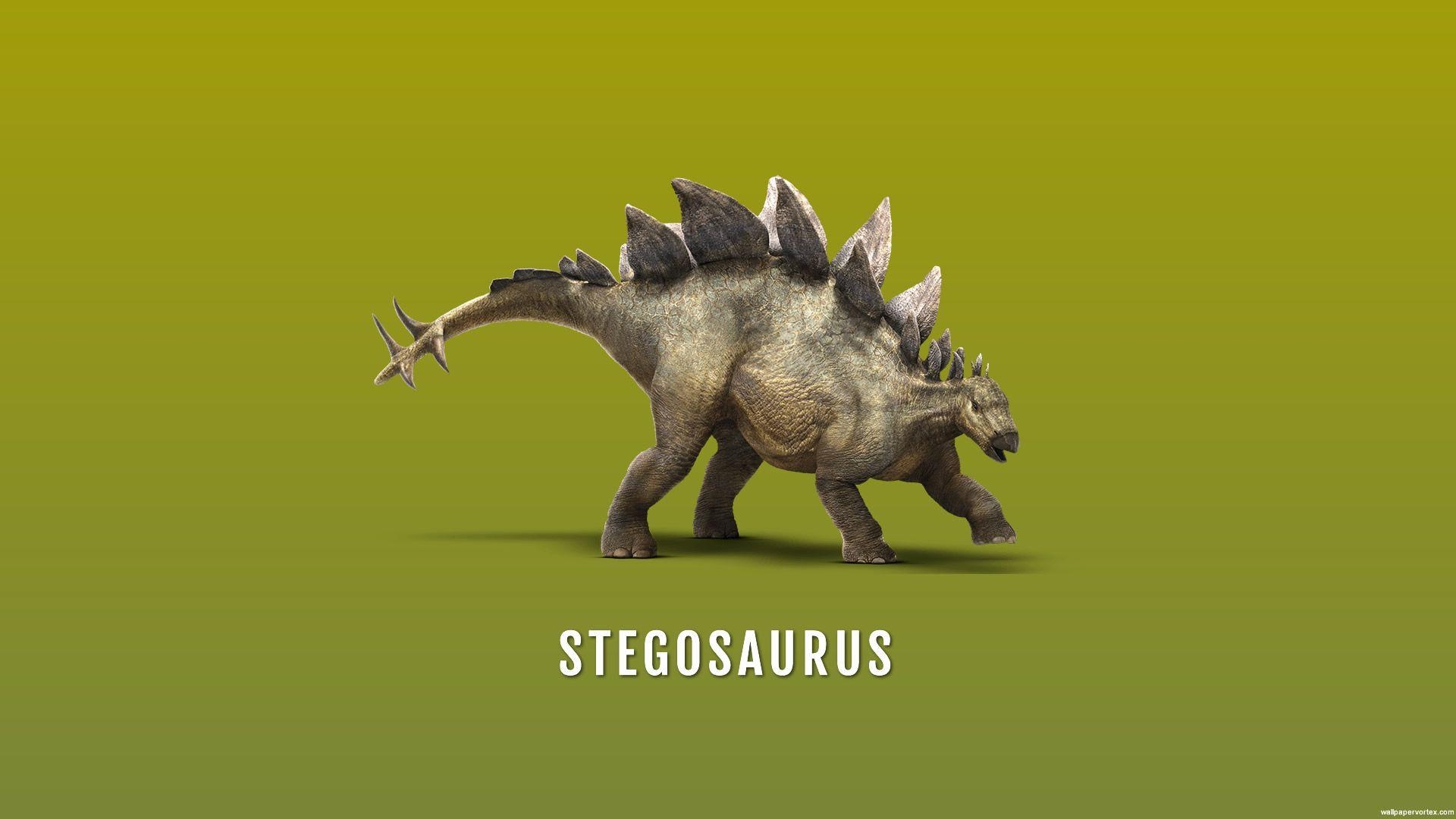 Stegosaurus, HD, 1080, Dinosaurier, Bild, 1920x1080 Full HD Desktop