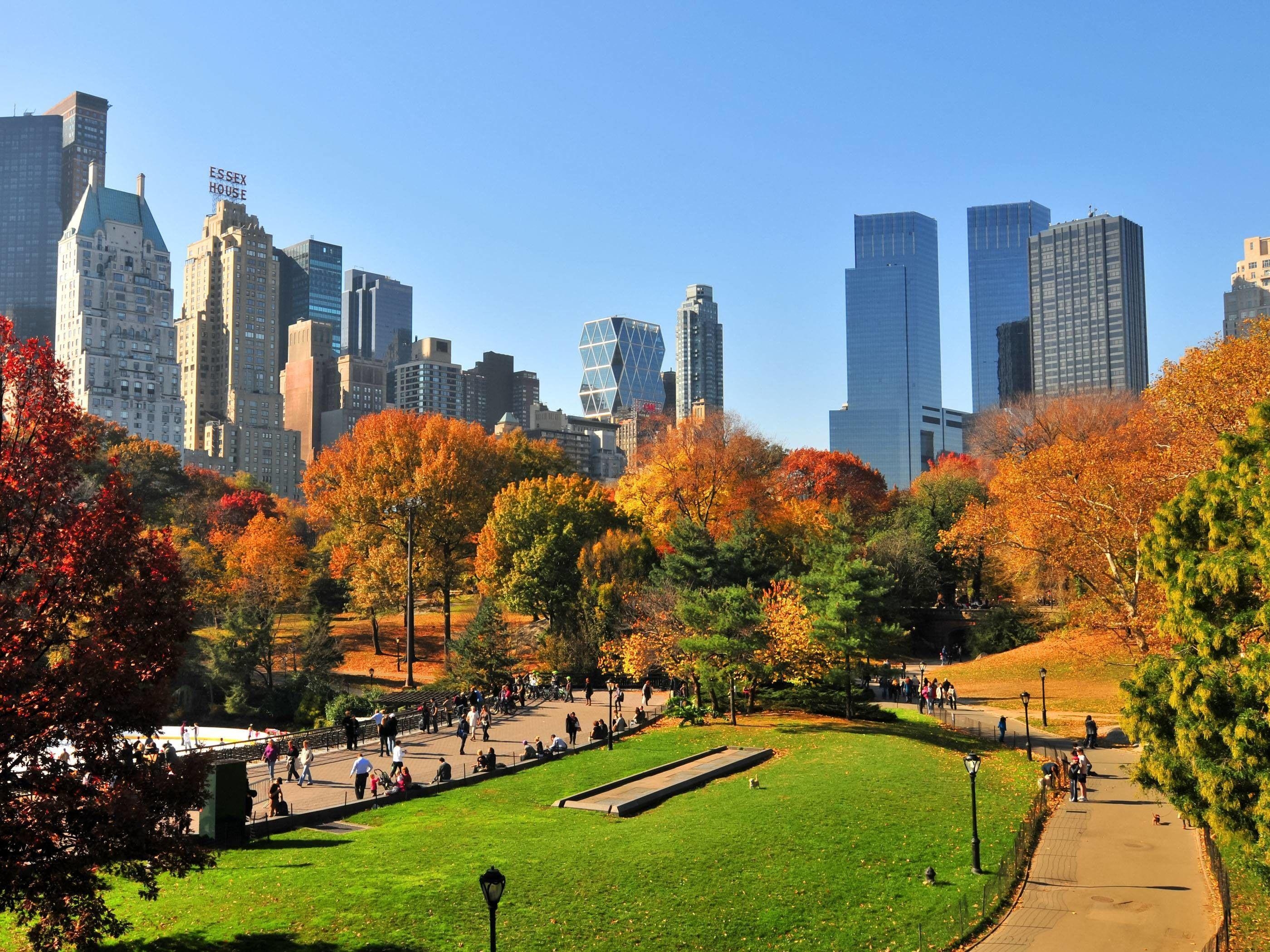 Central Park, Natur, Erholung, Ruhe, Grün, 2800x2100 HD Desktop