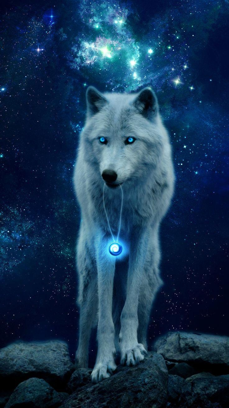 Arktischer Wolf, Digitale Kunst, Tundrarum, Canis lupus, Kunst, 740x1310 HD Handy