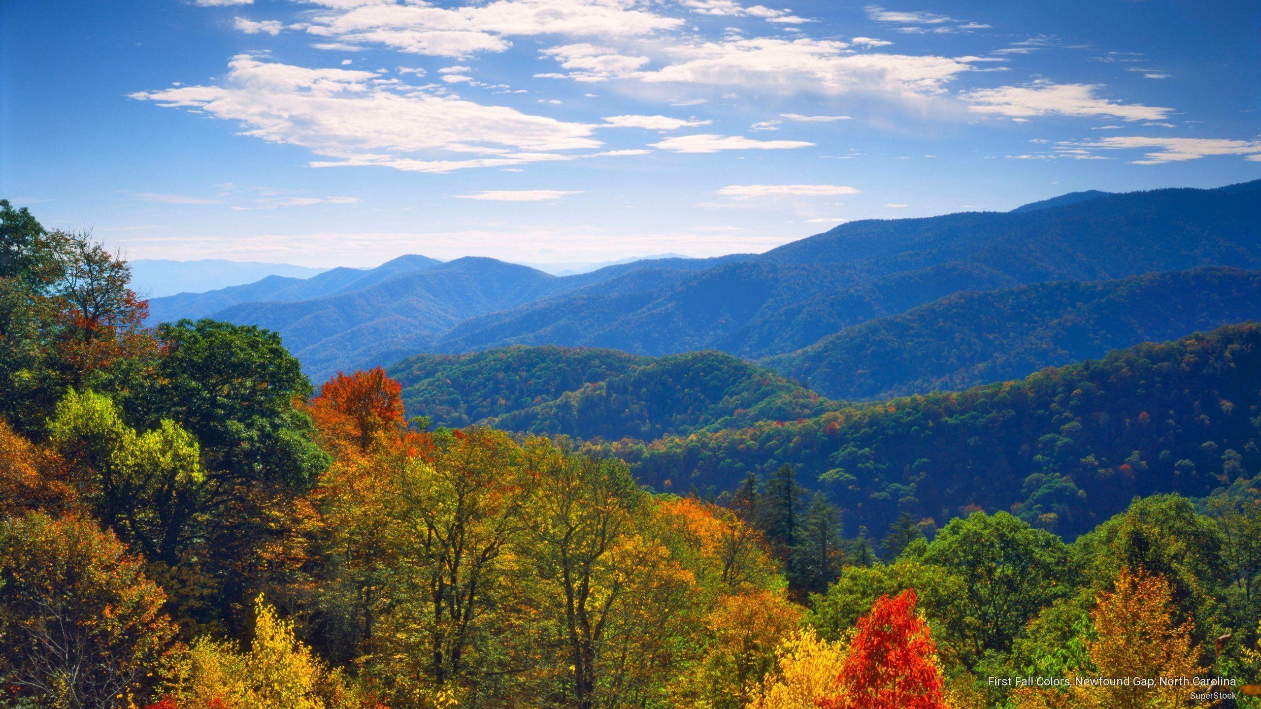 Smoky Mountains, Herbst, Natur, USA, Hintergrund, 2560x1440 HD Desktop