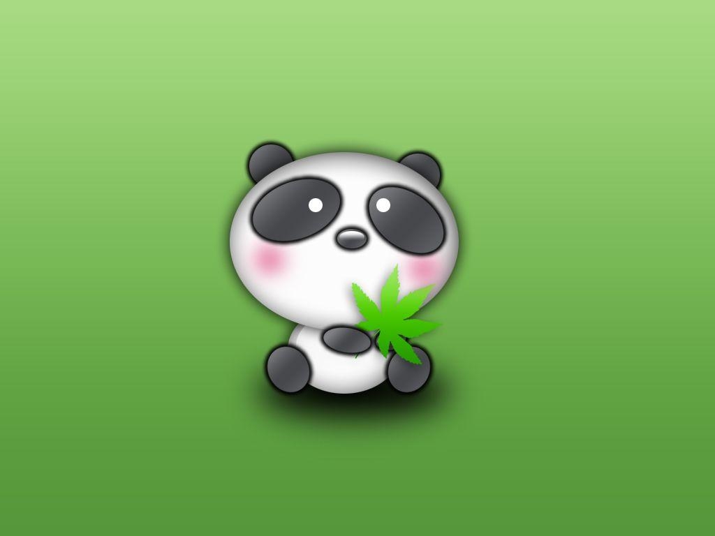 Panda, HD, Bild, Ultra-HD, Hintergrund, 1030x770 HD Desktop