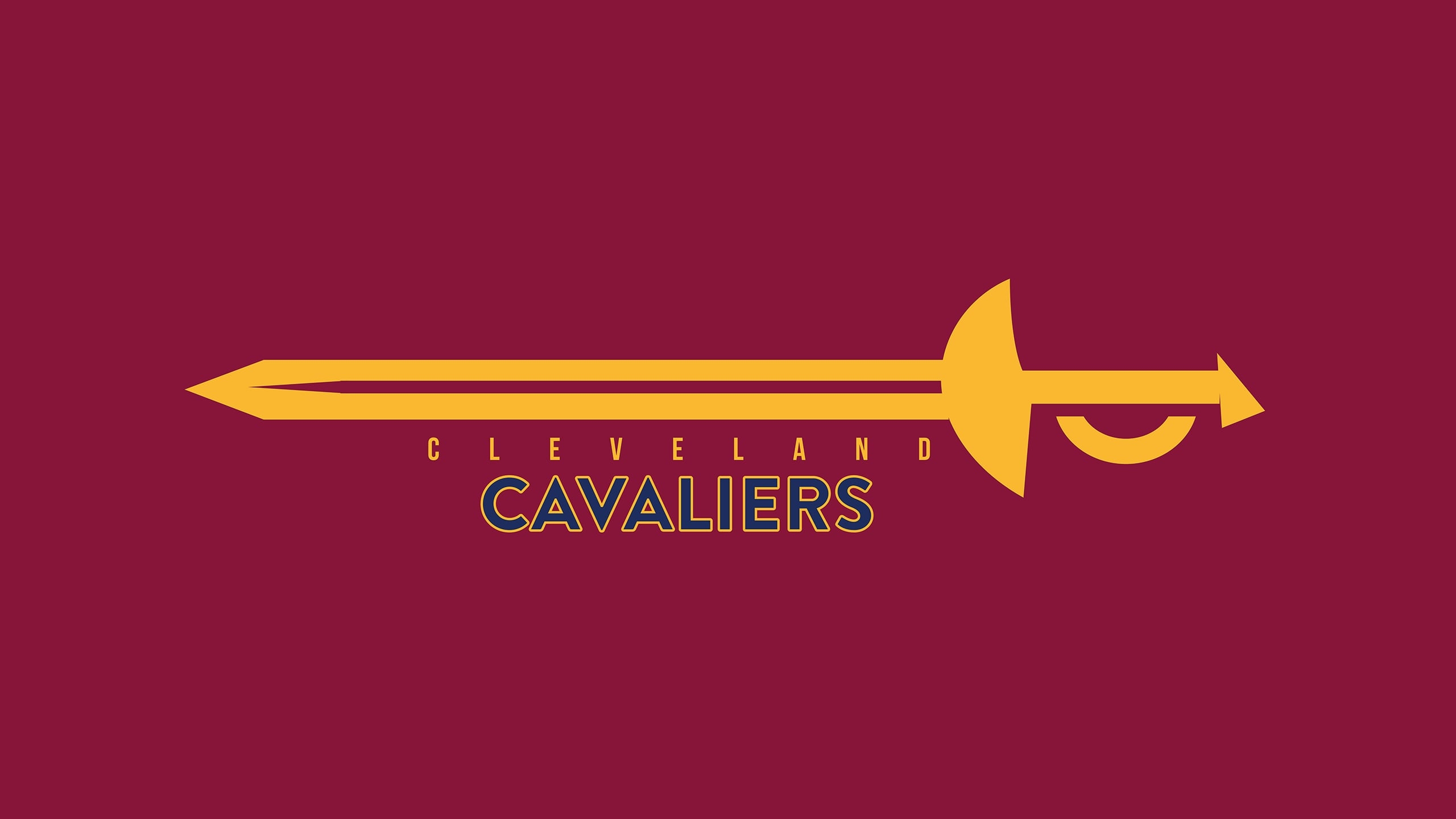 Cleveland Cavaliers, Fan, Hintergrund, Basketball, NBA, 2560x1440 HD Desktop