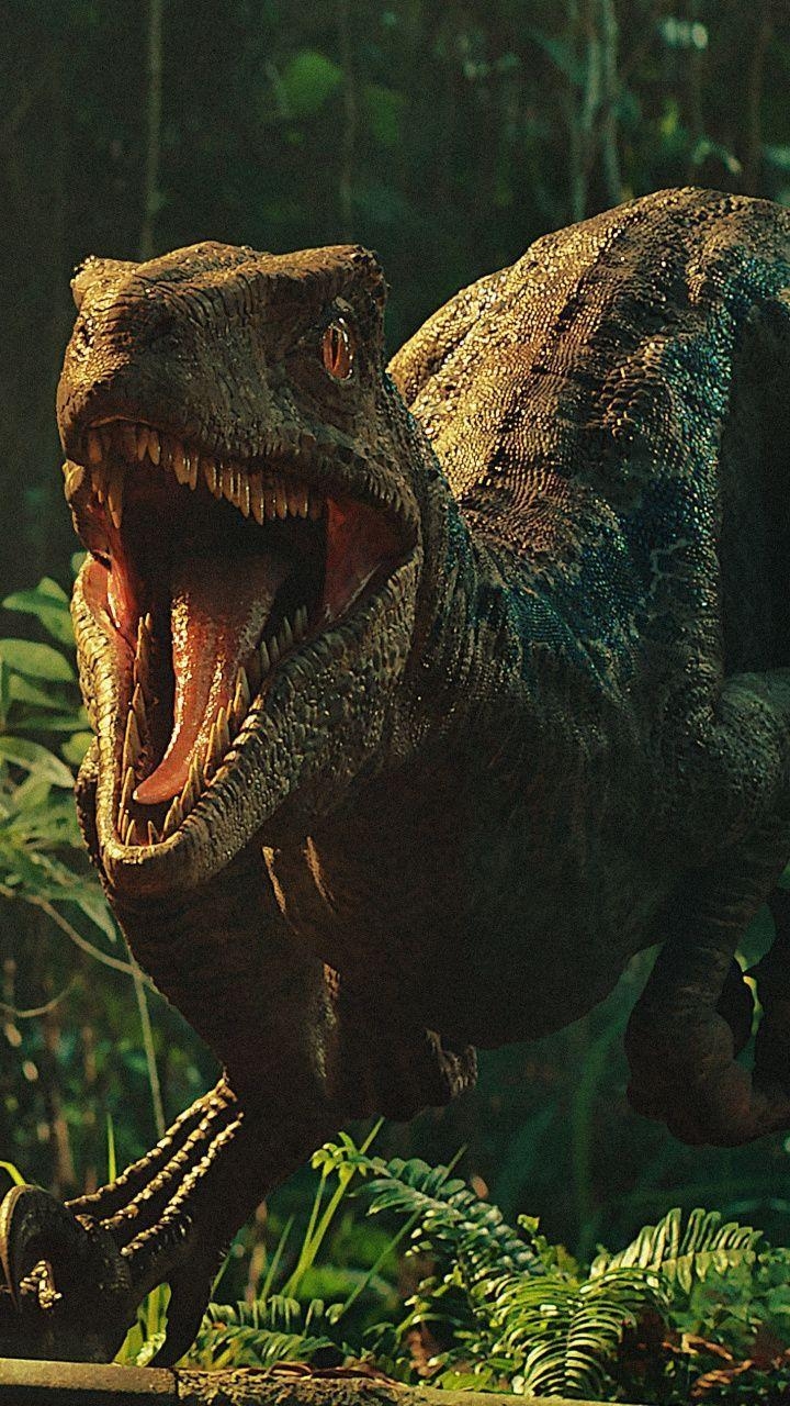 Jurassic World, Velociraptor, Dinosaurier, Kino, 720x1280 HD Handy