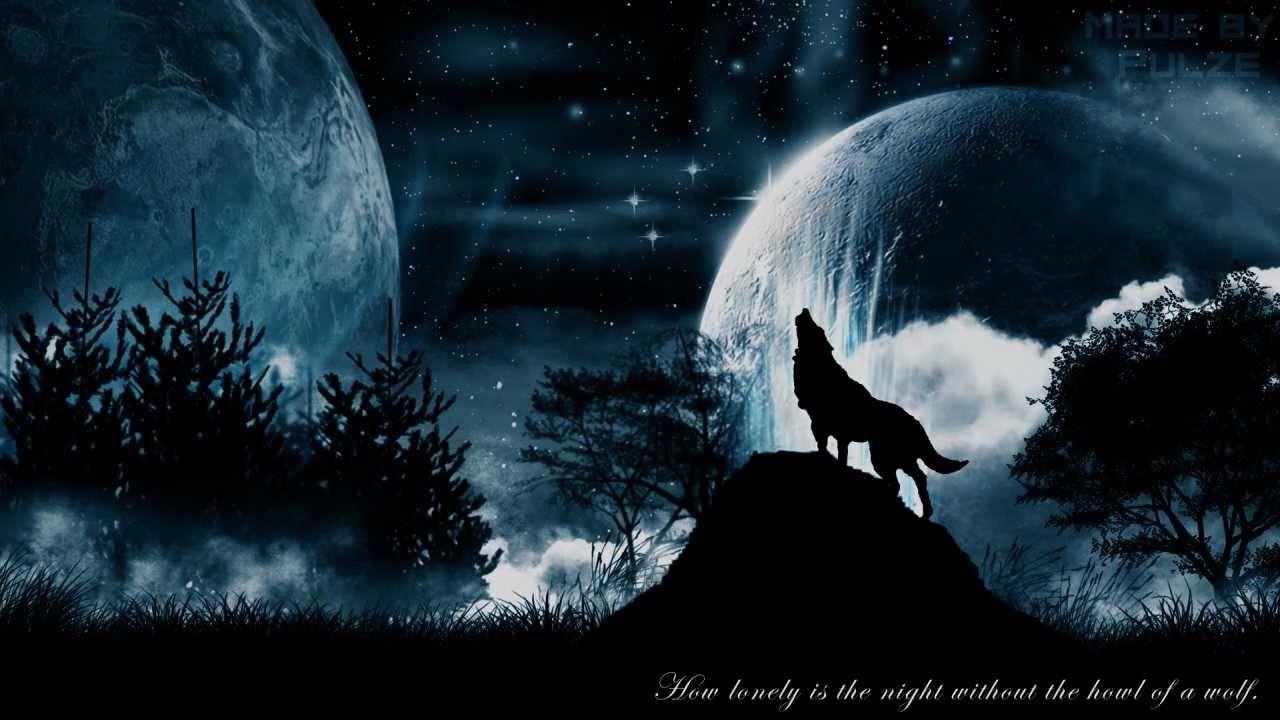 Wolf, Fortschritt, Hintergrund, Entwicklung, Tier, 1280x720 HD Desktop