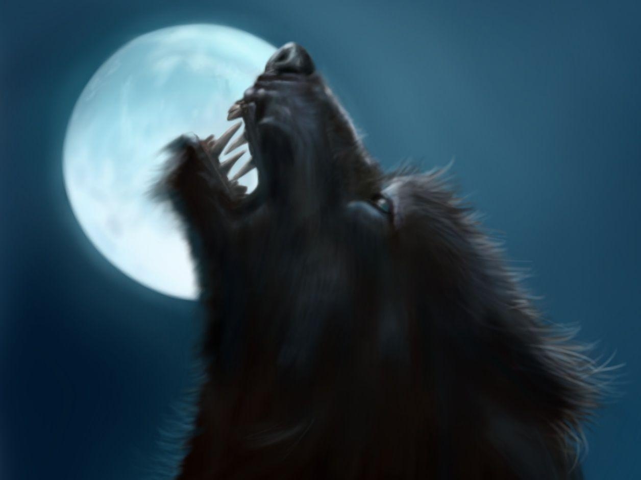 Mond, Werwolf, Wild, Hintergrund, Schaurig, 1260x940 HD Desktop