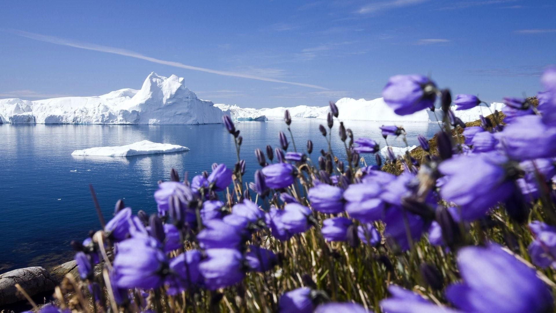 Diskobucht, Jakobshavn-Gletscher, Ilulissat, Grönland, HD, 1920x1080 Full HD Desktop