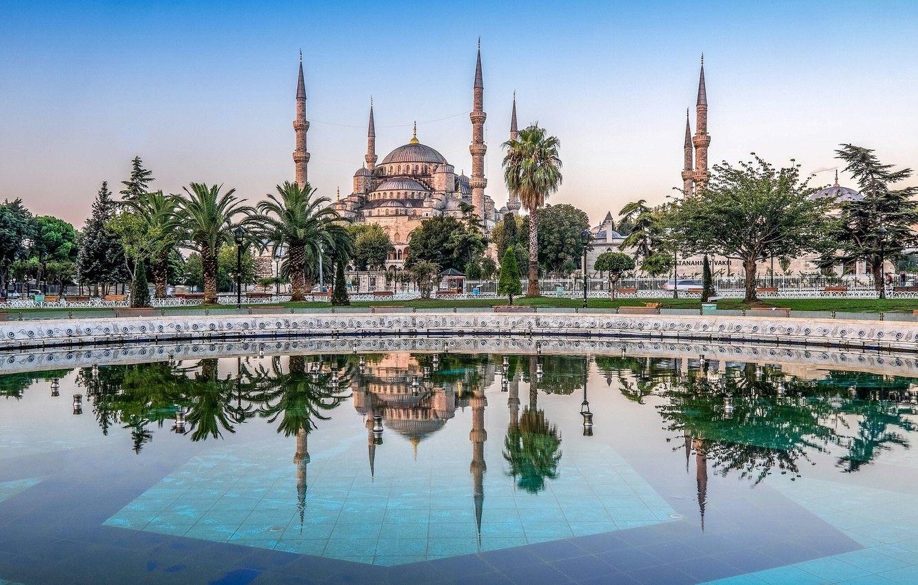 Blaue Moschee, Palmen, Reflexion, Istanbul, Pool, 1340x850 HD Desktop