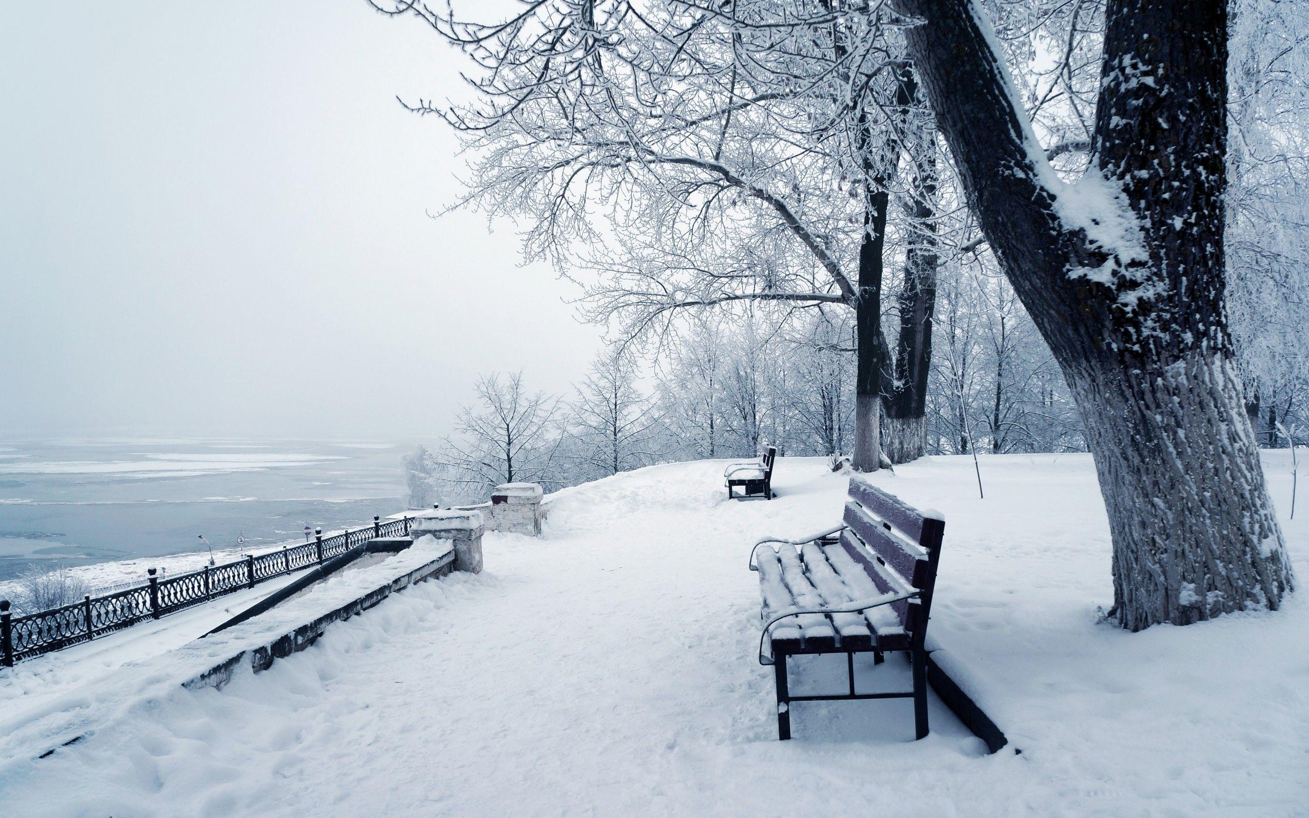 Hochauflösend, Winter, Hintergrund, Schnee, Natur, 2560x1600 HD Desktop