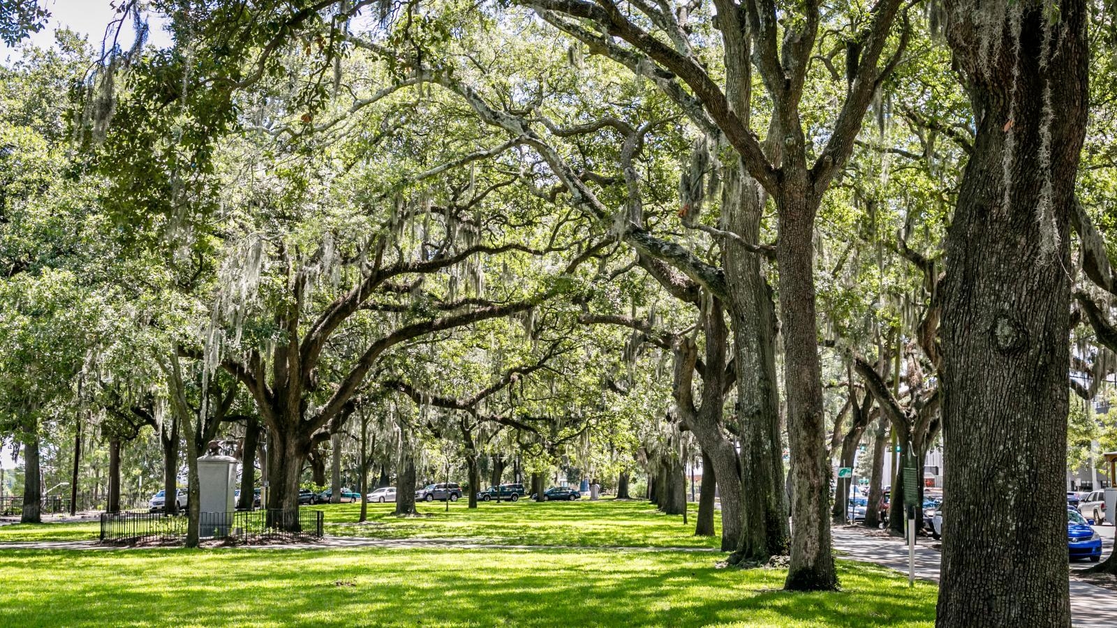 Savannah, Plätze, Parks, Georgia, Erholung, 1600x900 HD Desktop