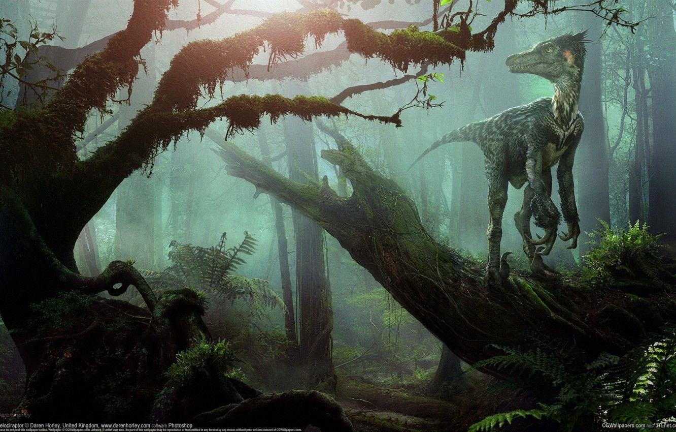 Velociraptor, Tiere, Wald, Dinosaurier, Bild, 1340x850 HD Desktop