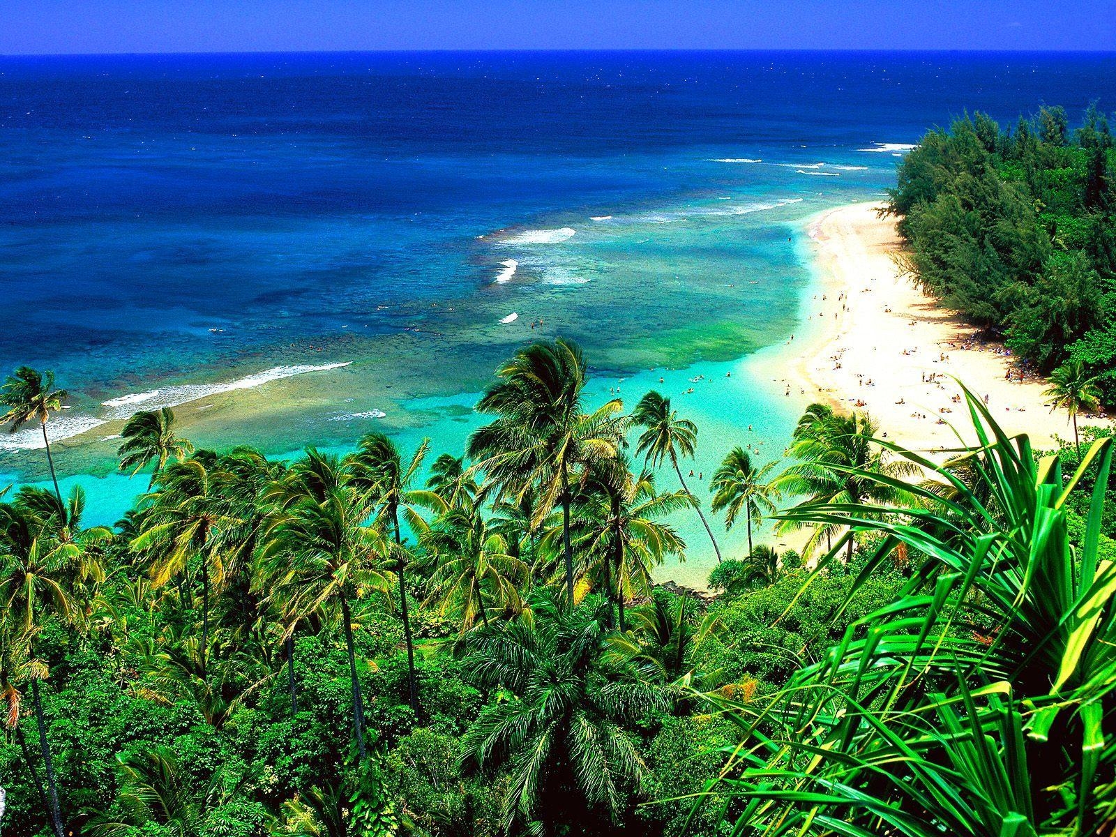 Hawaii, Atemberaubend, Live Wallpaper, Inseln, Reisen, 1600x1200 HD Desktop