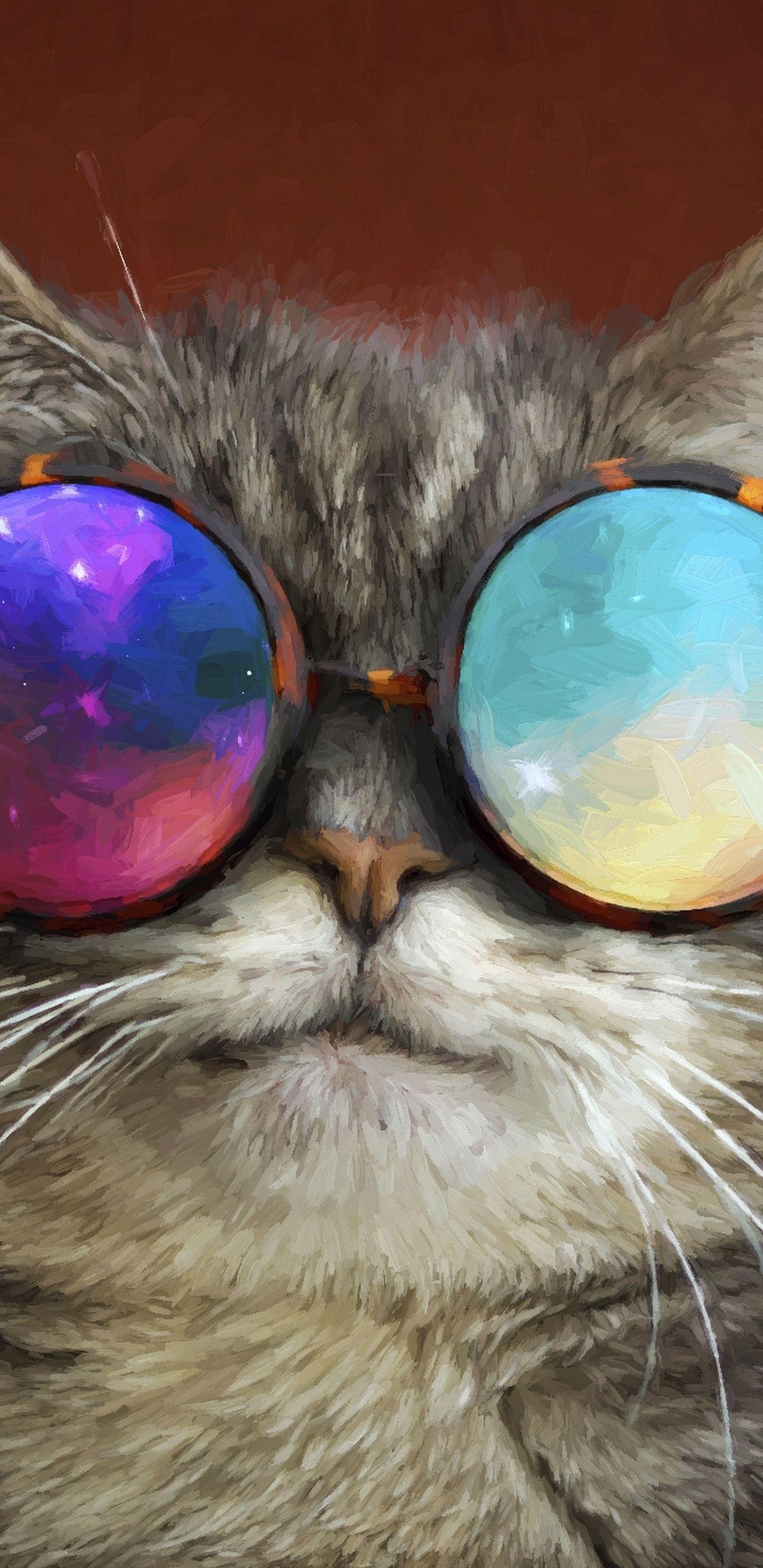 Galaxie Katze, HD, Kreativ, Fantasie, Internet, 1440x2960 HD Handy