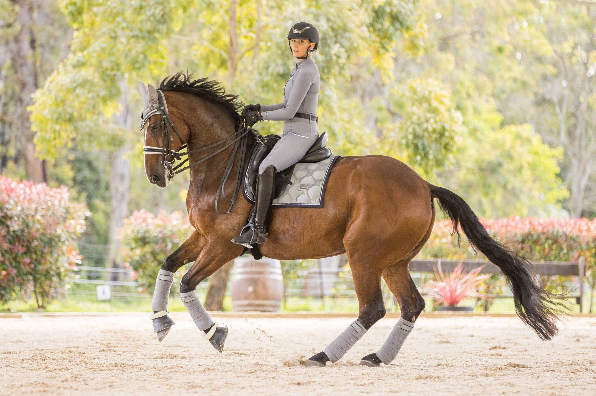 Schöne Reiterin, Equestrian, Download, Dressursport, Frauen, 1920x1280 HD Desktop