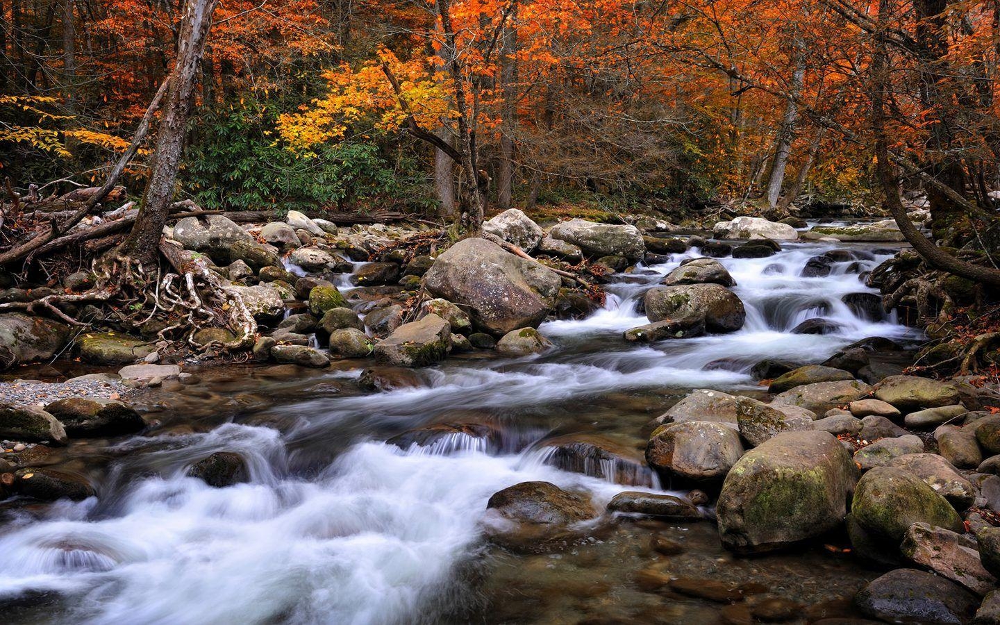 Schöne Nationalparks, Amerika, North Carolina, Tennessee, Landschaft, 1440x900 HD Desktop