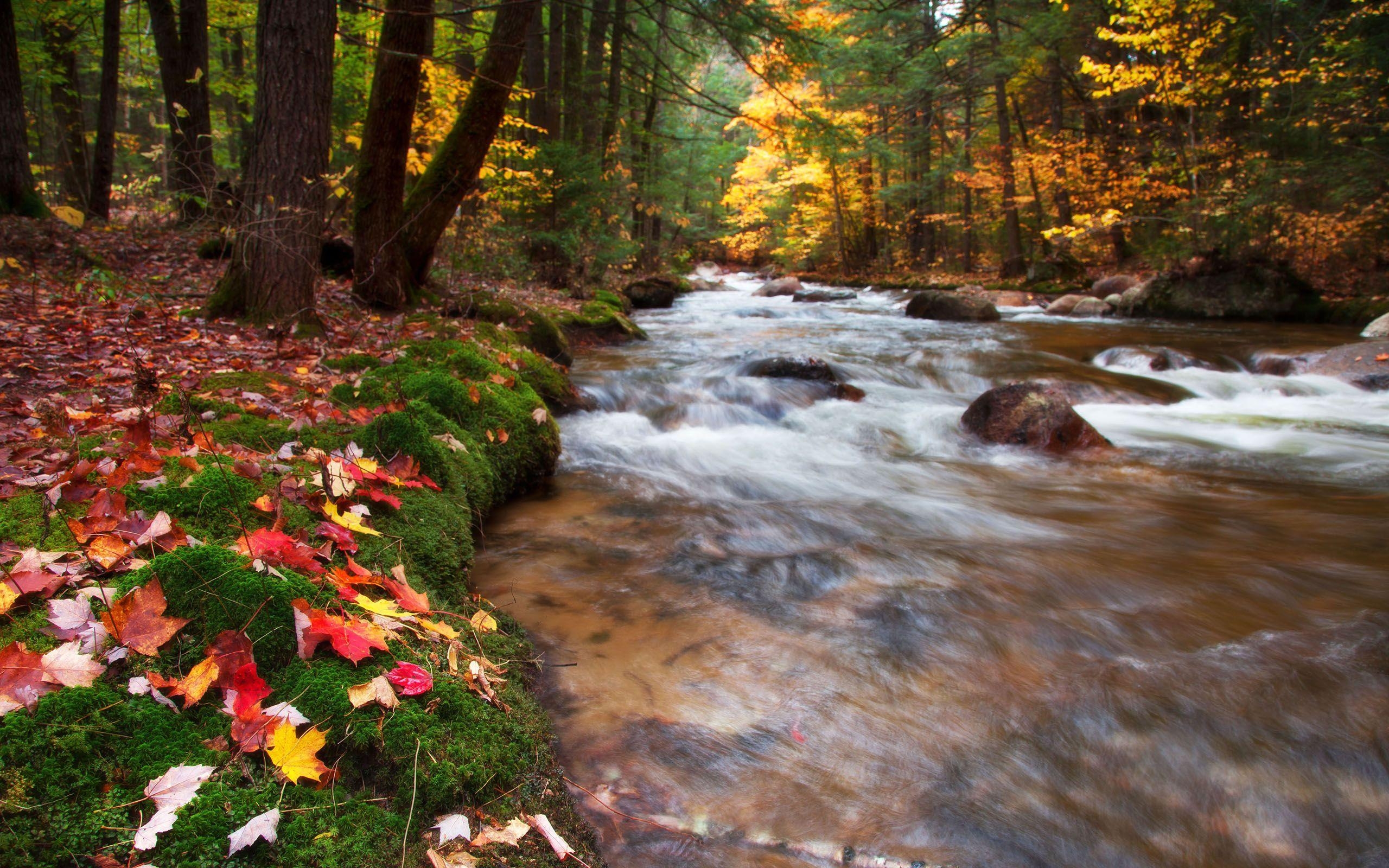 New Hampshire, 2560x, Natur, Landschaft, USA, 2560x1600 HD Desktop