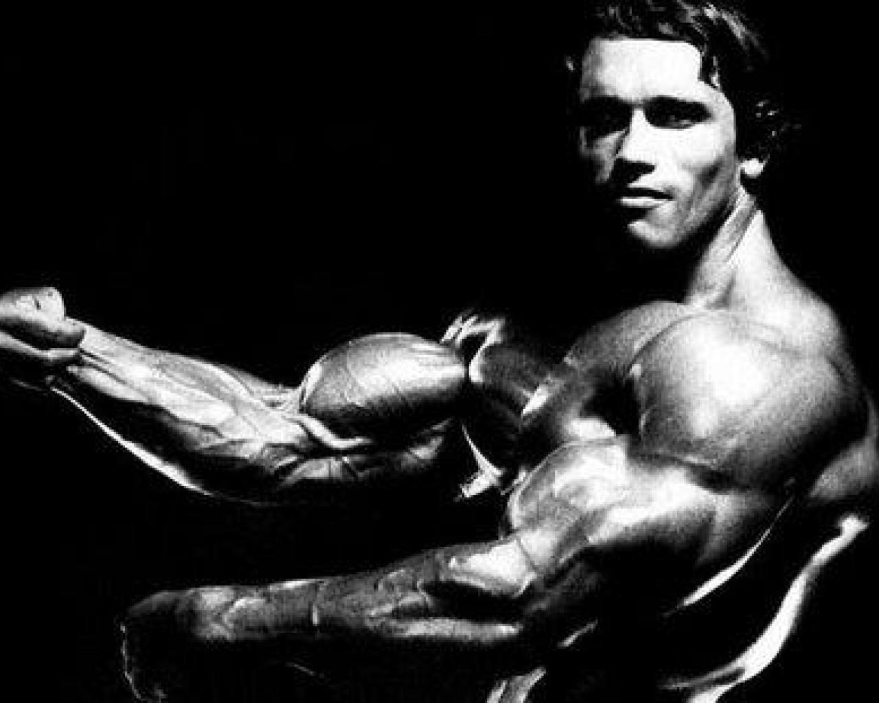 Arnold, Bodybuilding, Fitness, Muskelaufbau, Hintergrund, 1280x1030 HD Desktop