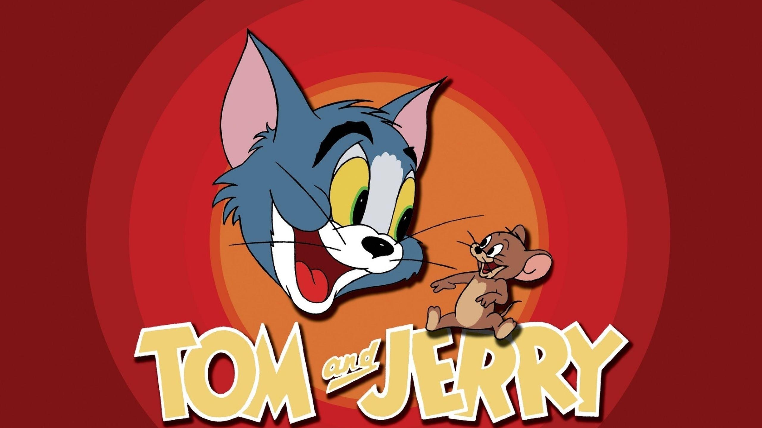 Tom, Jerry, Zeichentrick, Bild, HD, 2560x1440 HD Desktop