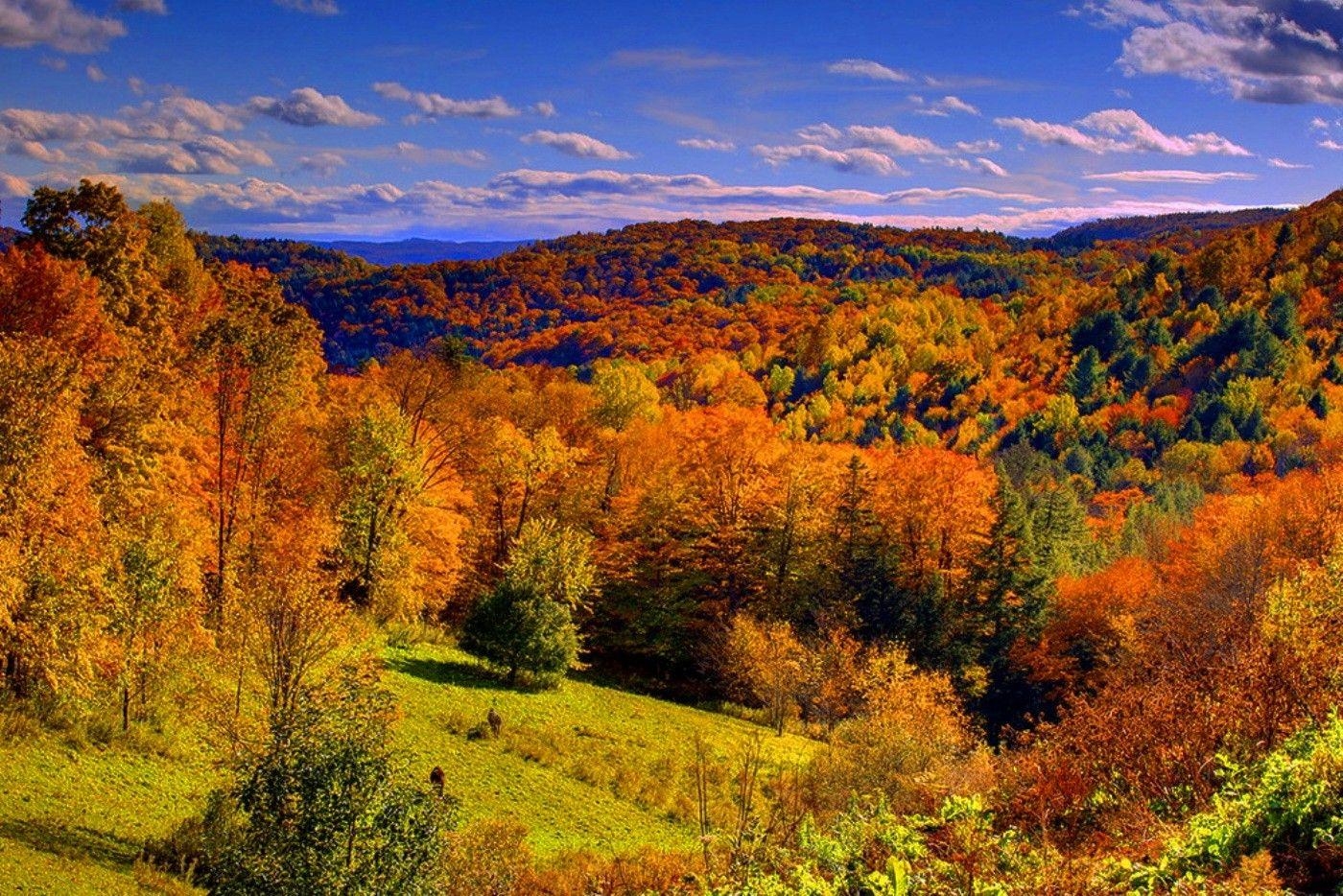 Waldtal, Herbstfarben, Vermont, Sonne, Hügel, 1400x940 HD Desktop