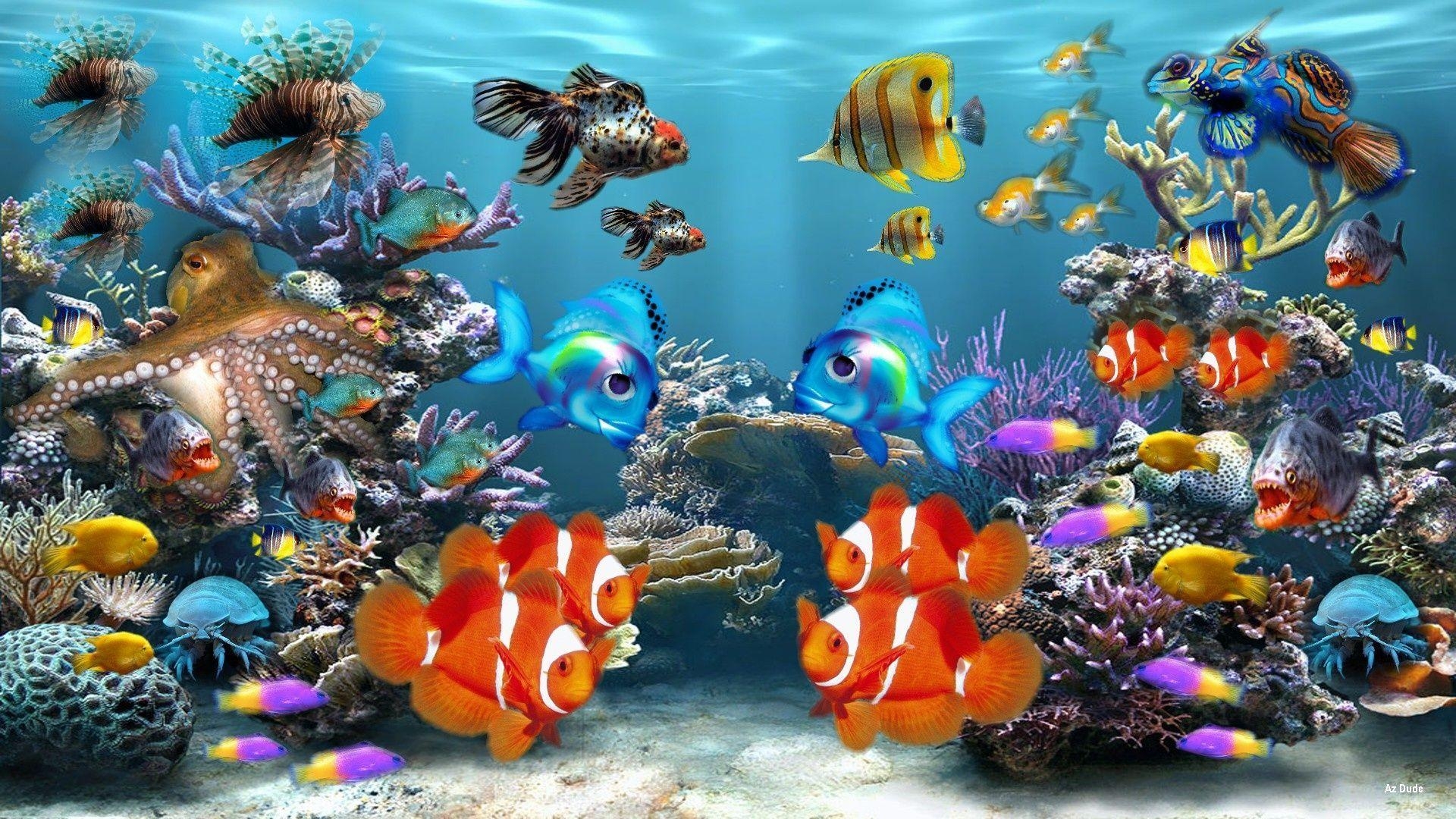 HD Fische, Neueste, Hintergrund, Fische, Tiere, 1920x1080 Full HD Desktop