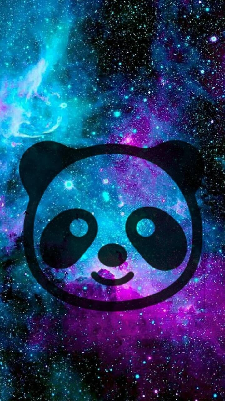 Panda, Hintergrund, süß, Tiere, Bild, 720x1280 HD Handy