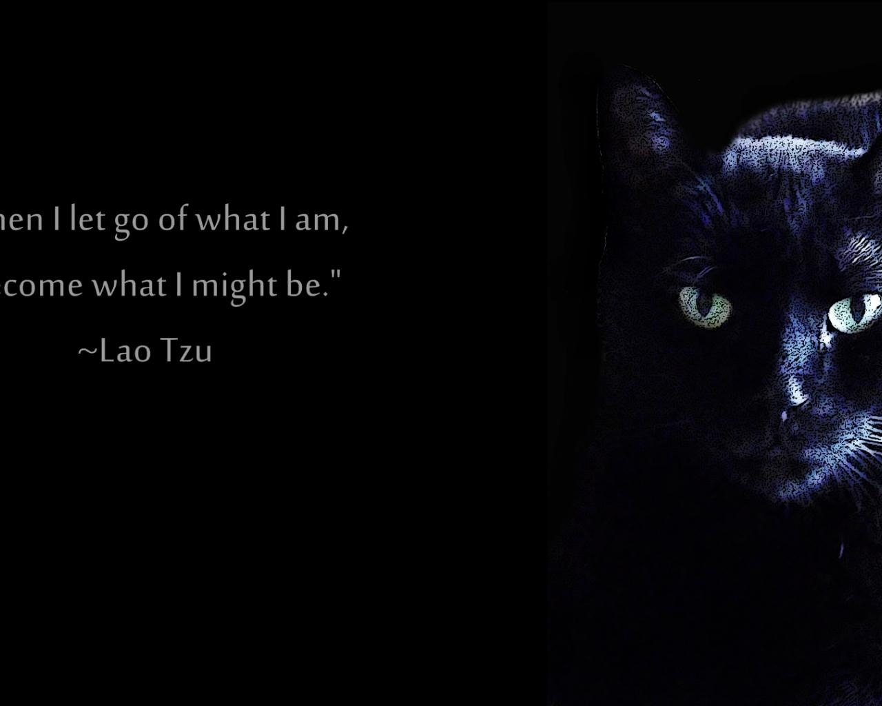 Lao Tzu, Taoismus, 1920x1080, taoistische Weisheiten, 1280x1030 HD Desktop