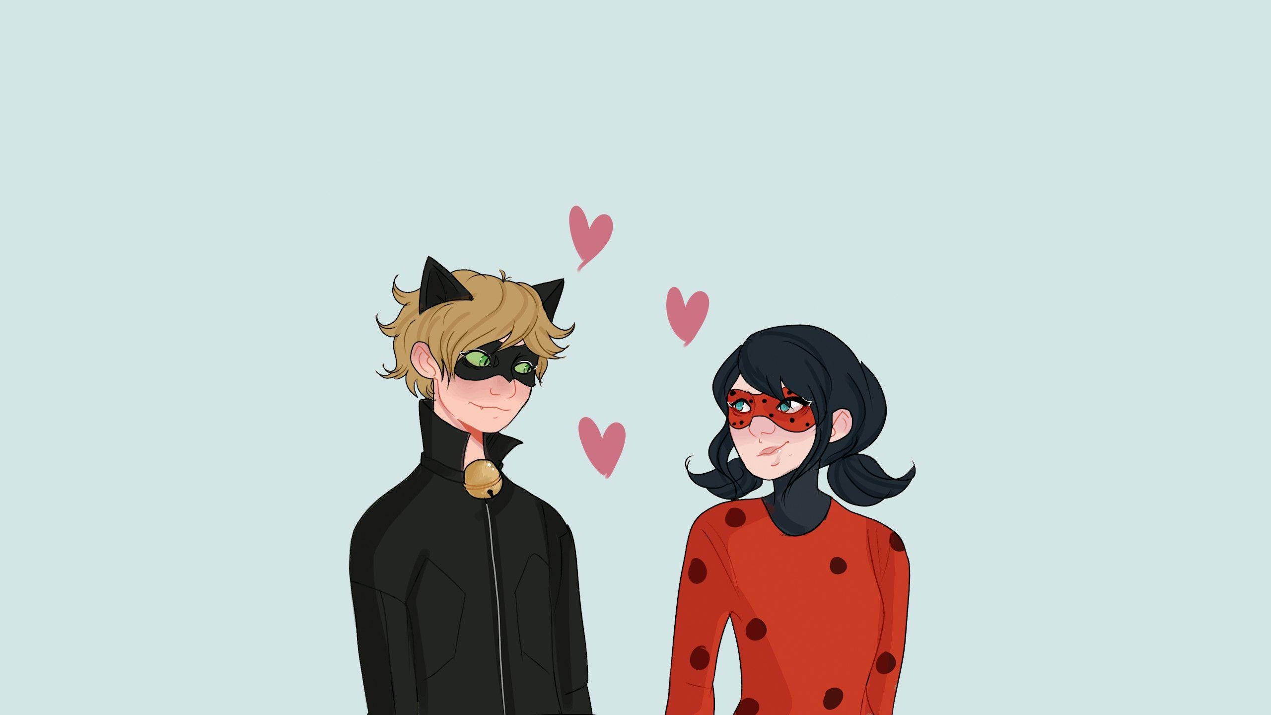 Ladybug, Cat Noir, Miraculous Geschichten, HD, Bild, 2560x1440 HD Desktop