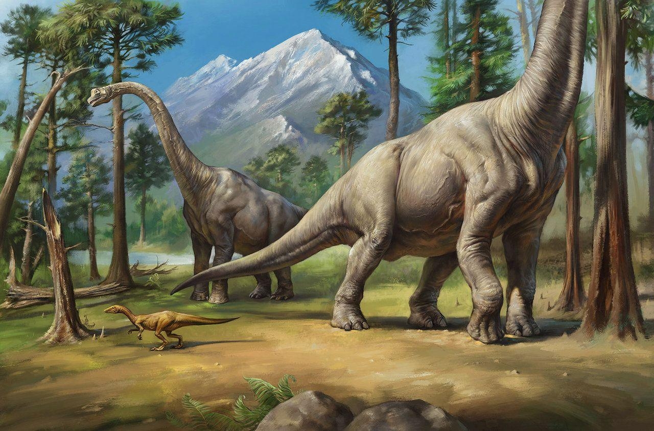 Brachiosaurus, Jura, Park, blau, Dinosaurier, 1280x850 HD Desktop