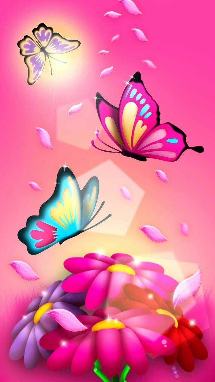 Schmetterling, Tiere, Bild, beste, bunt, 720x1280 HD Handy