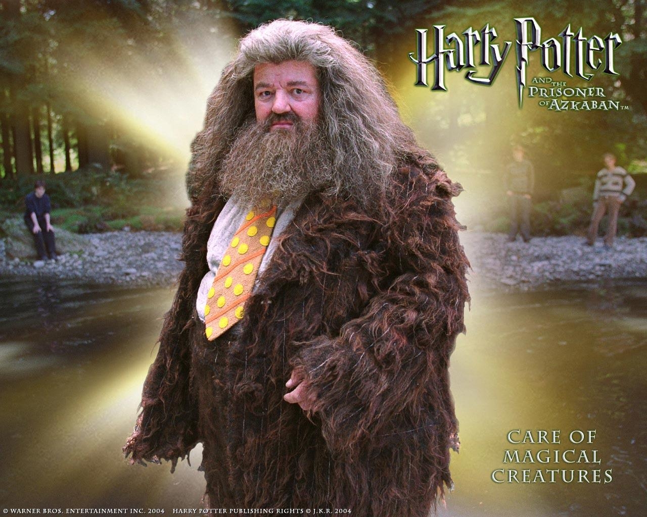 Hagrid, Charakter, Film, Harry Potter, Zauberer, 1280x1030 HD Desktop